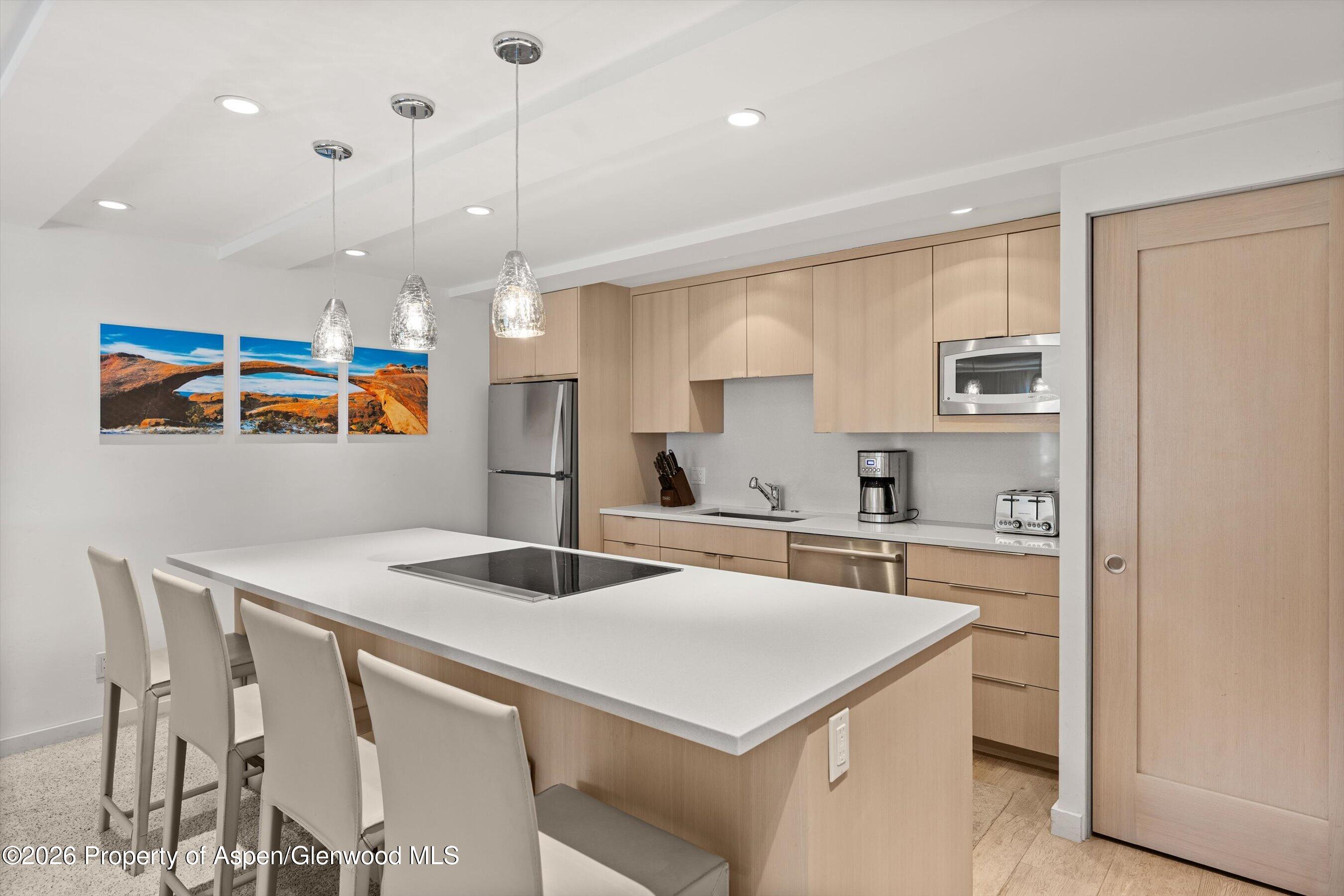 731 E Durant Avenue Aspen CO 81611