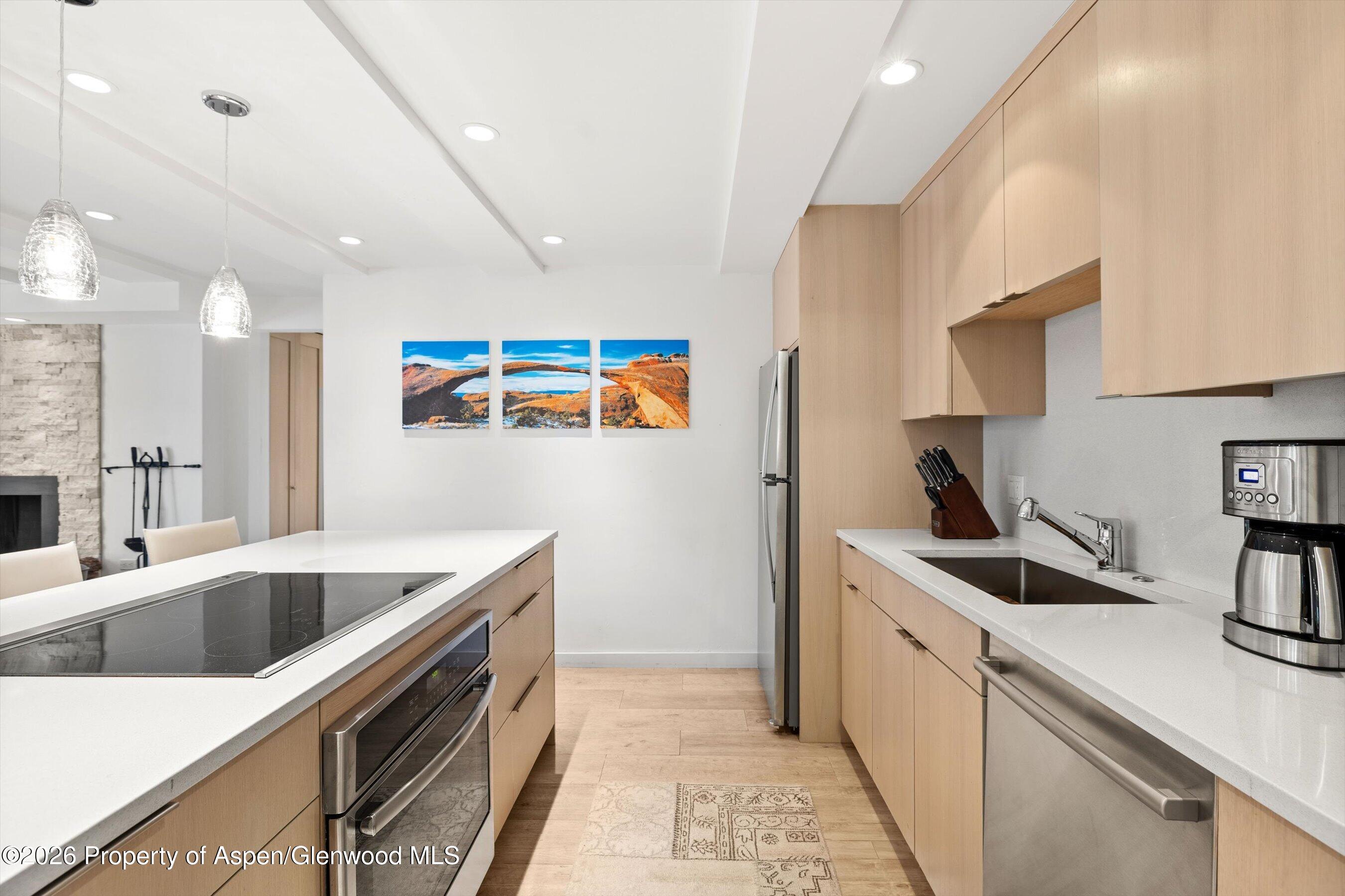 731 E Durant Avenue Aspen CO 81611