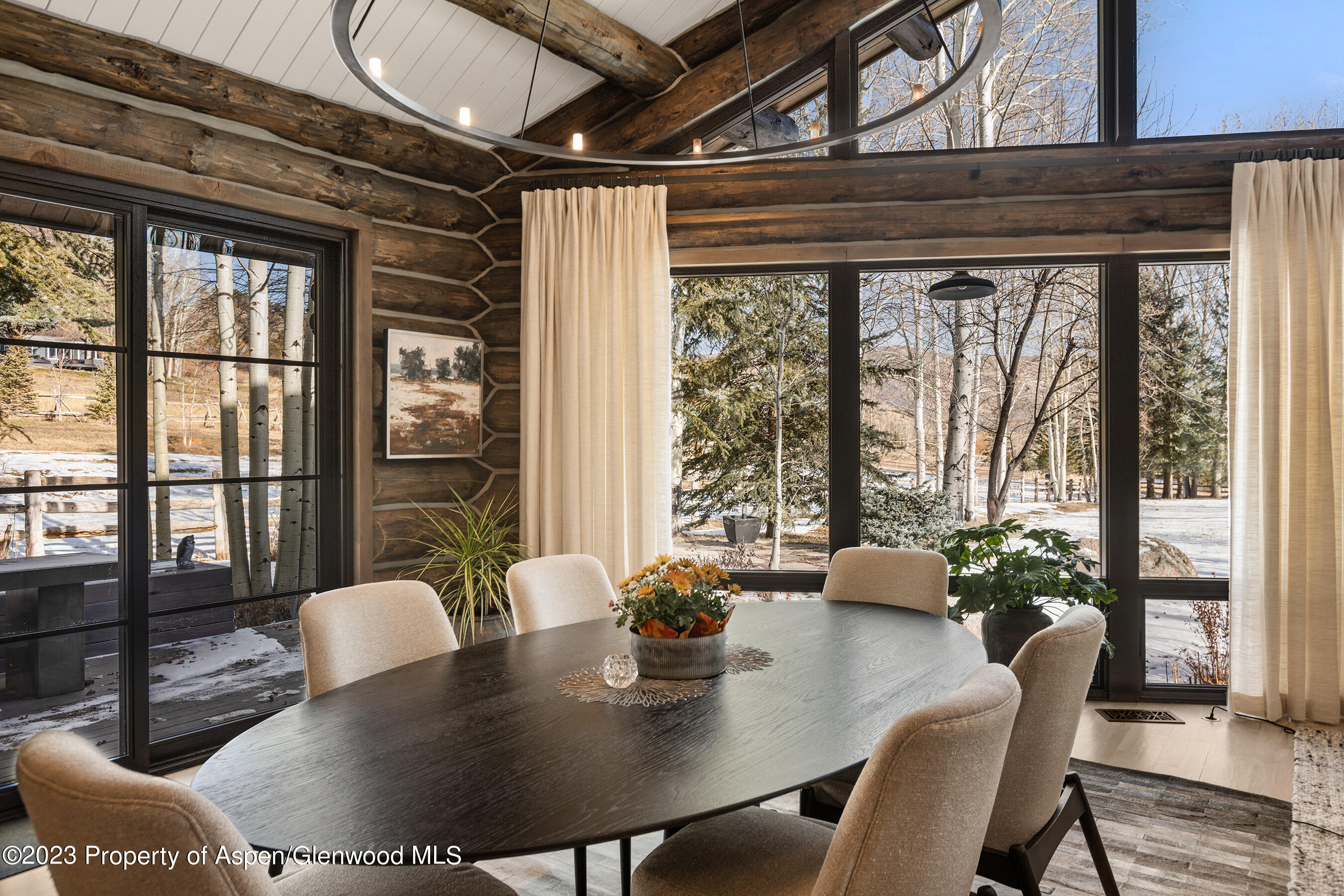 103 Alexander Avenue Snowmass CO 81654