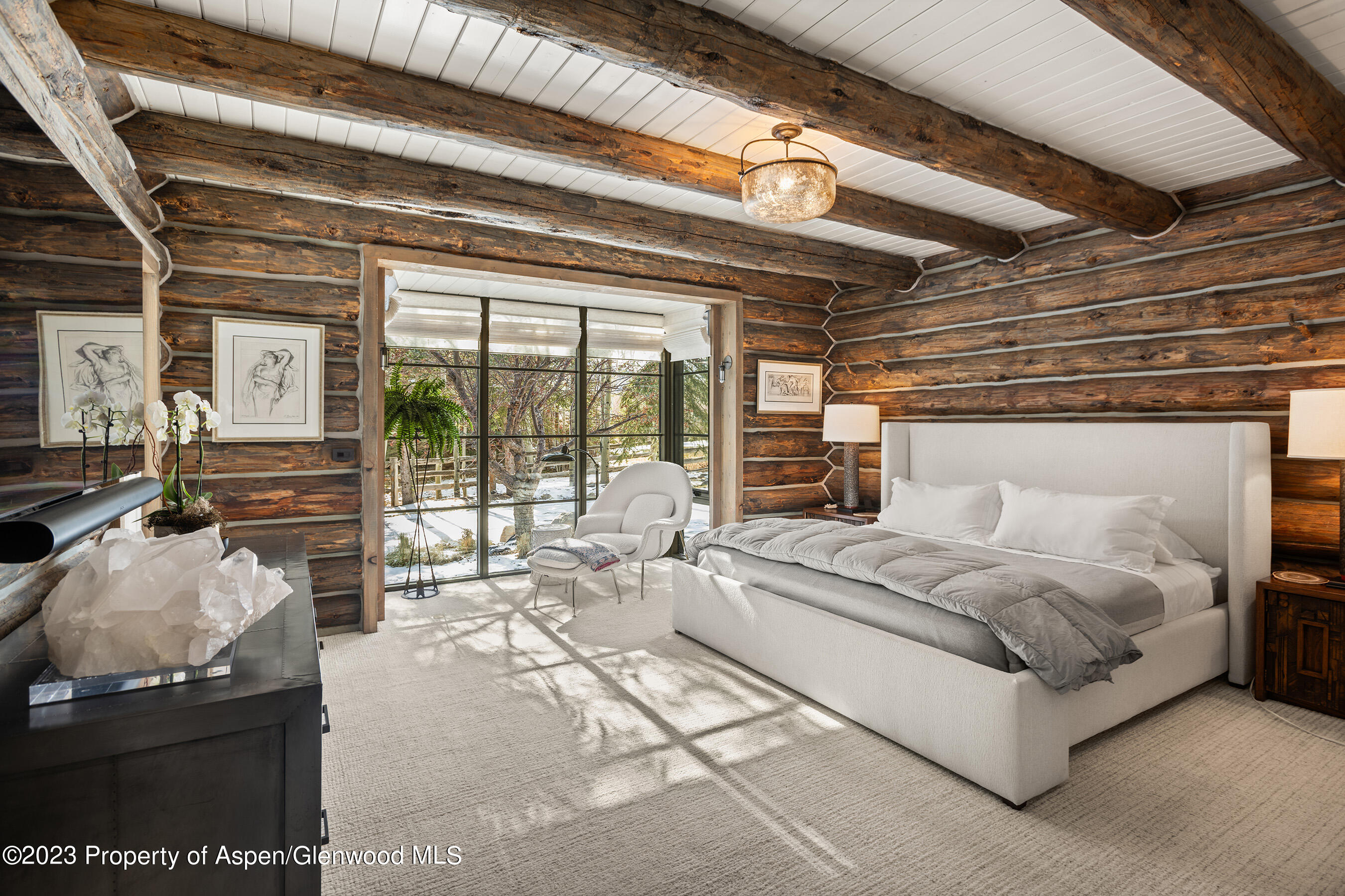 103 Alexander Avenue Snowmass CO 81654