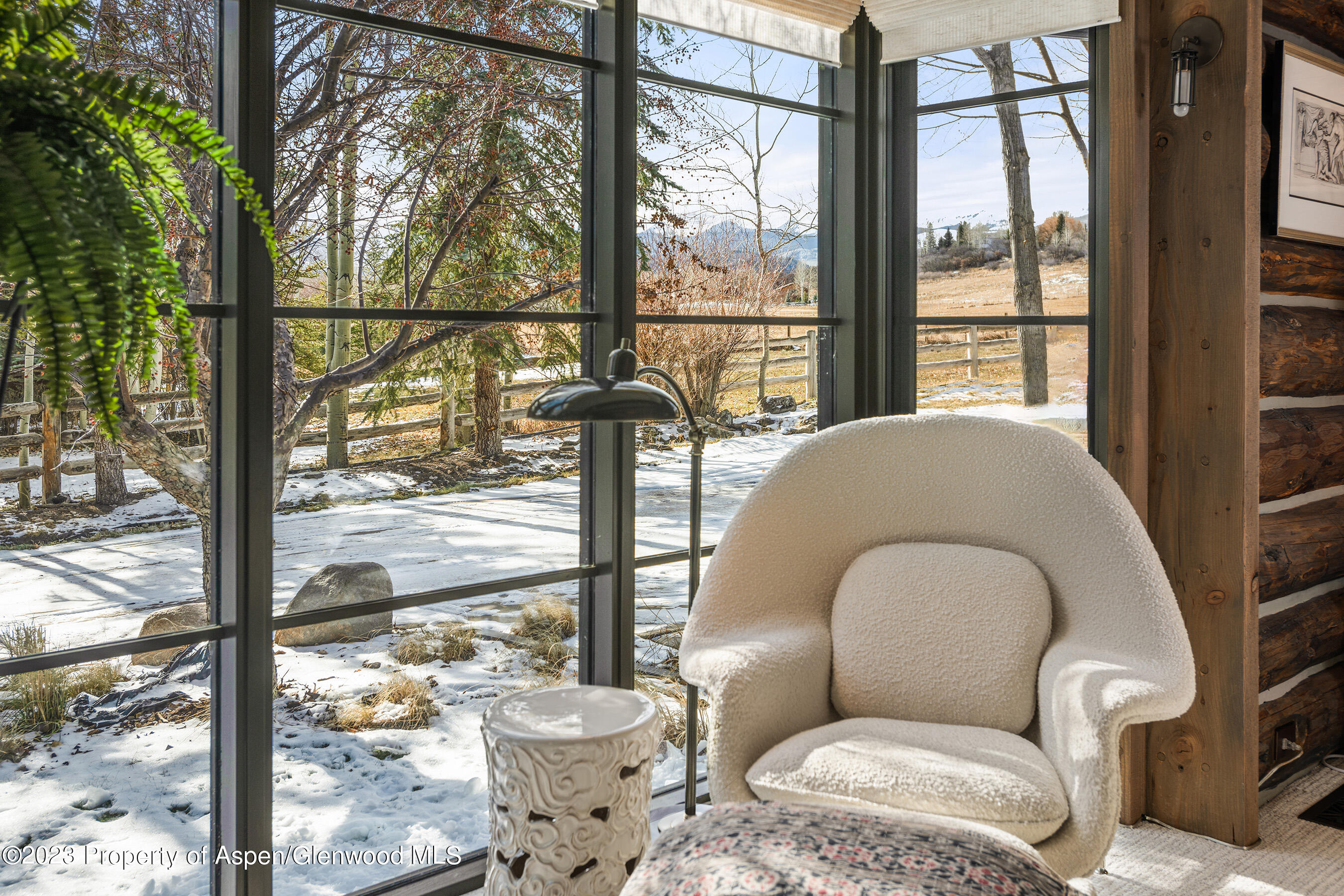 103 Alexander Avenue Snowmass CO 81654