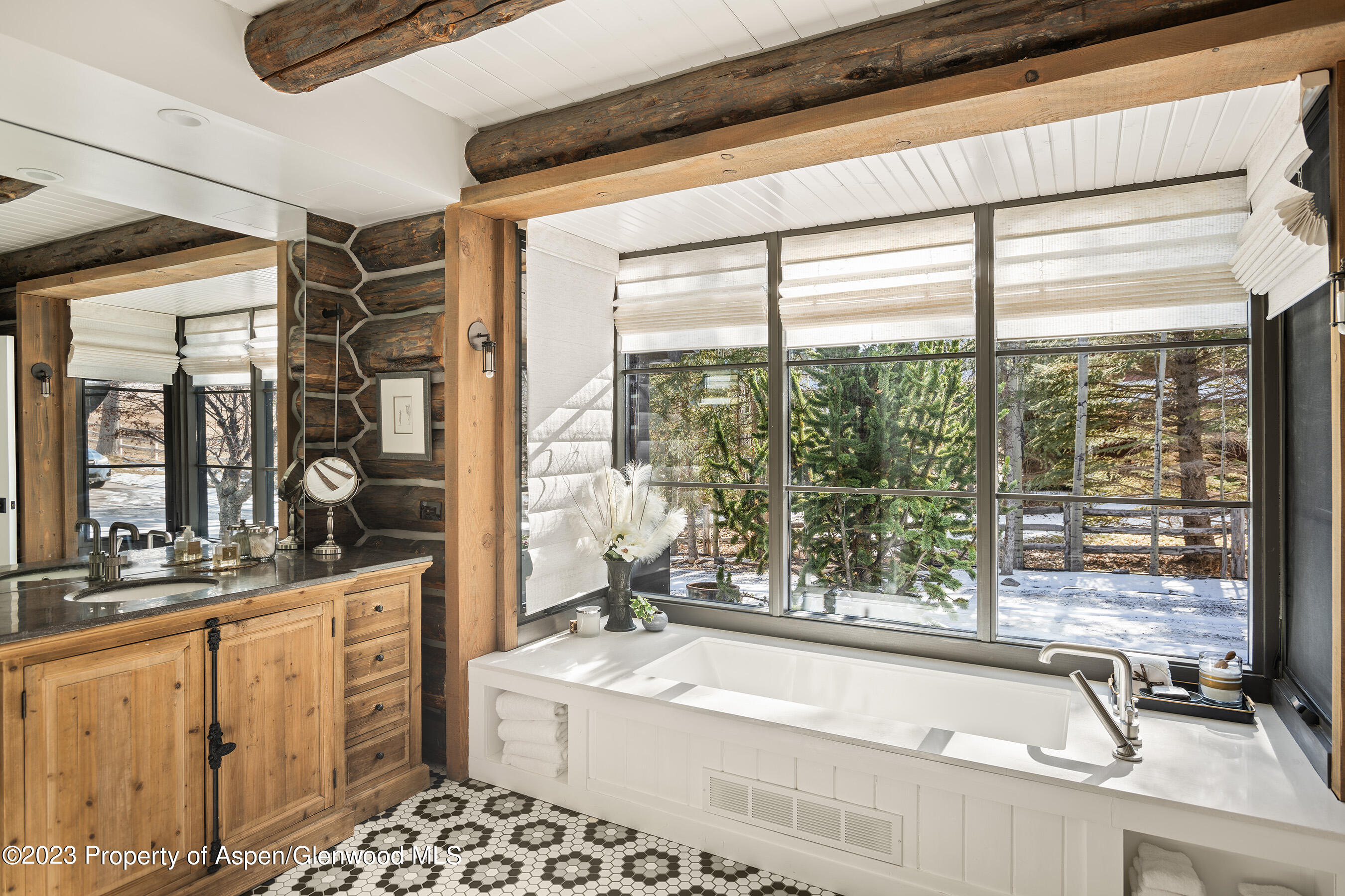 103 Alexander Avenue Snowmass CO 81654