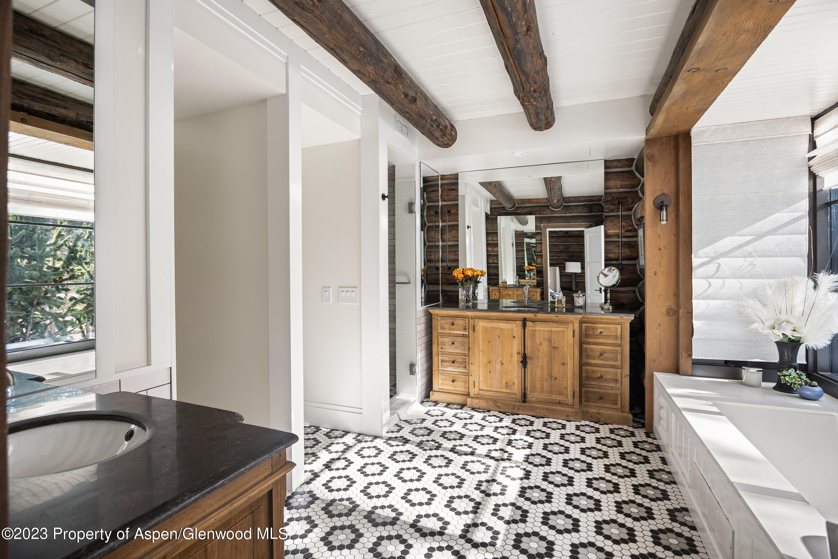 103 Alexander Avenue Snowmass CO 81654