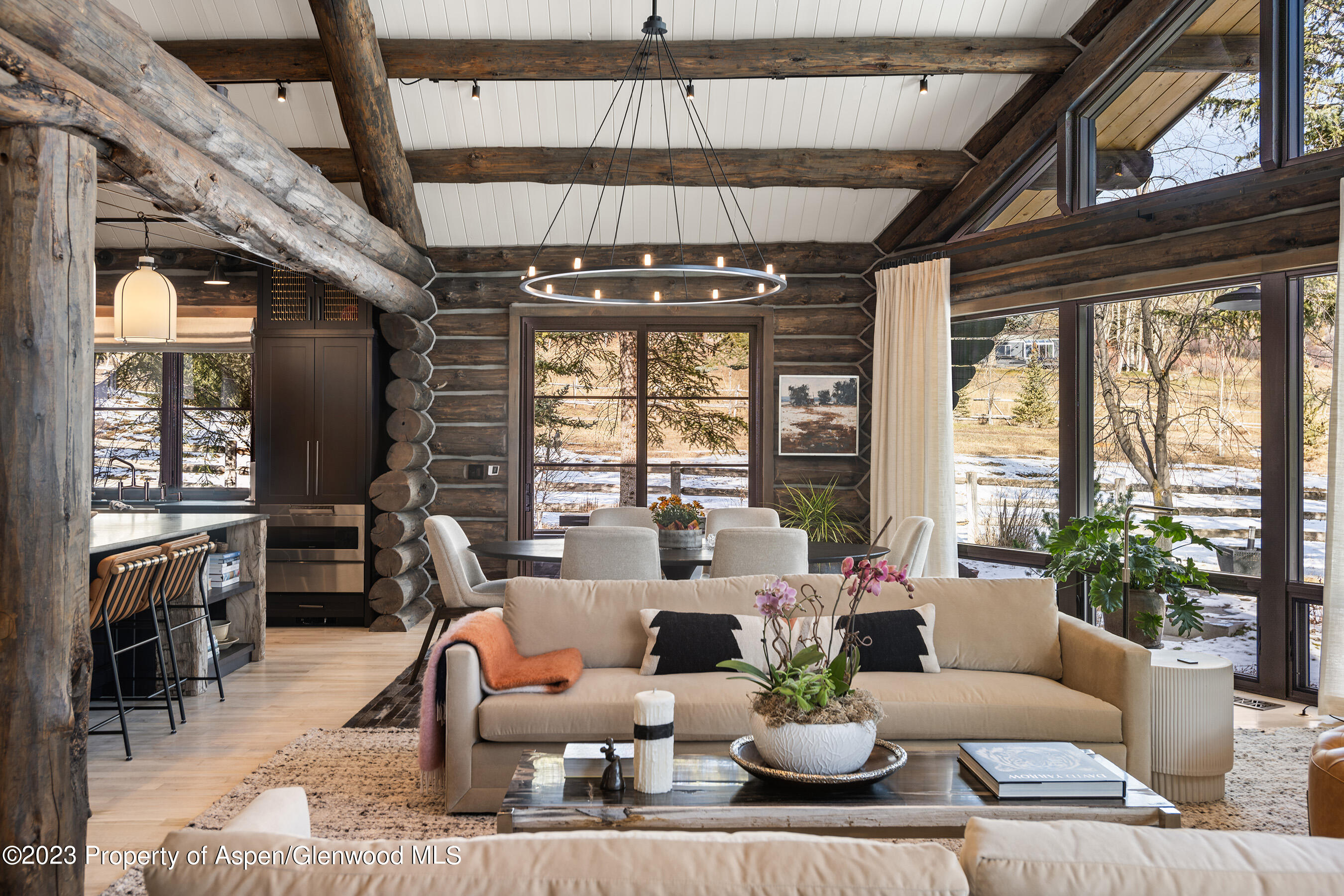 103 Alexander Avenue Snowmass CO 81654