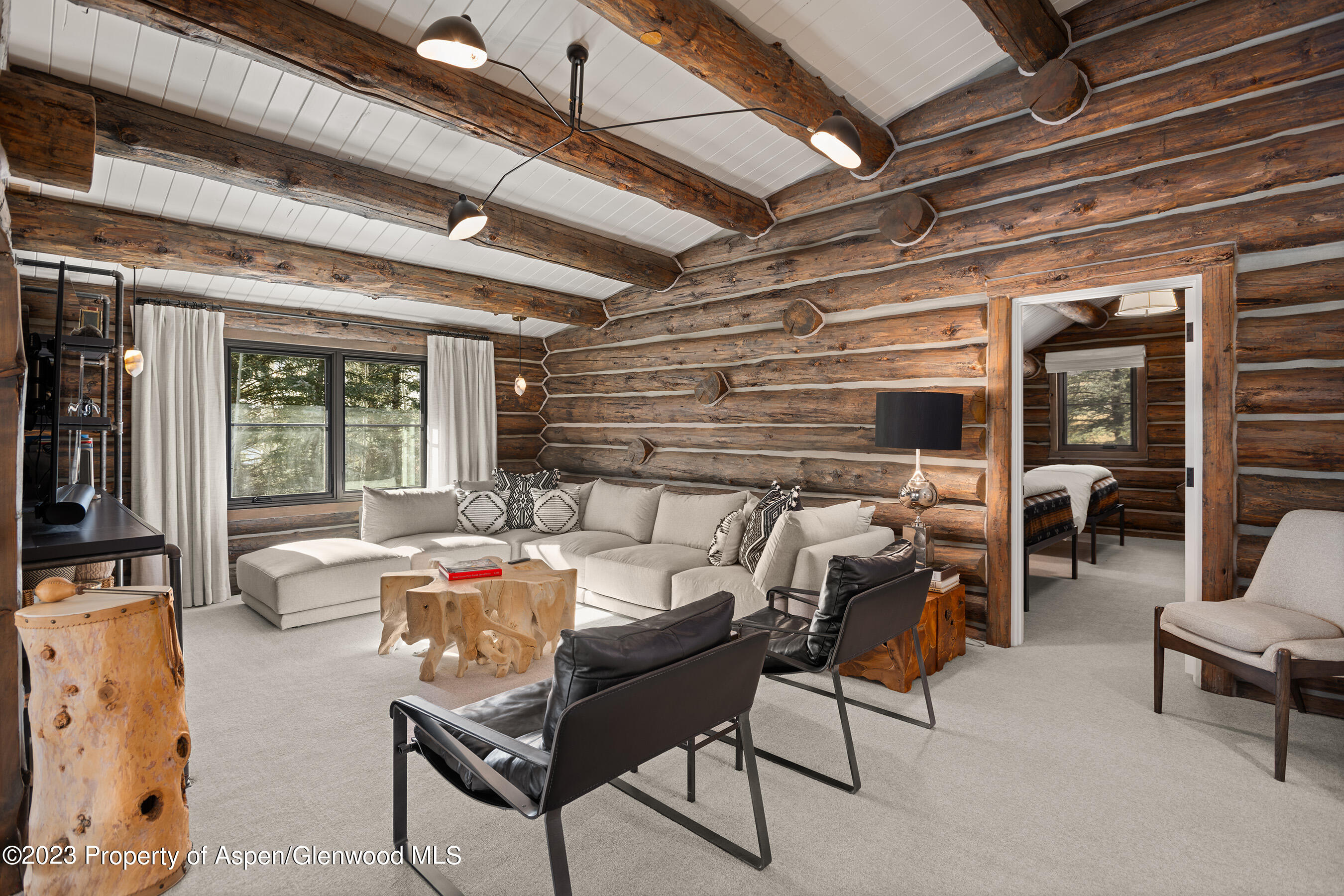 103 Alexander Avenue Snowmass CO 81654