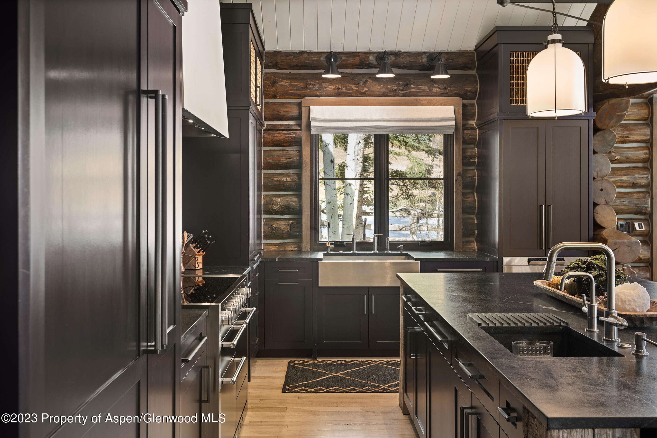 103 Alexander Avenue Snowmass CO 81654