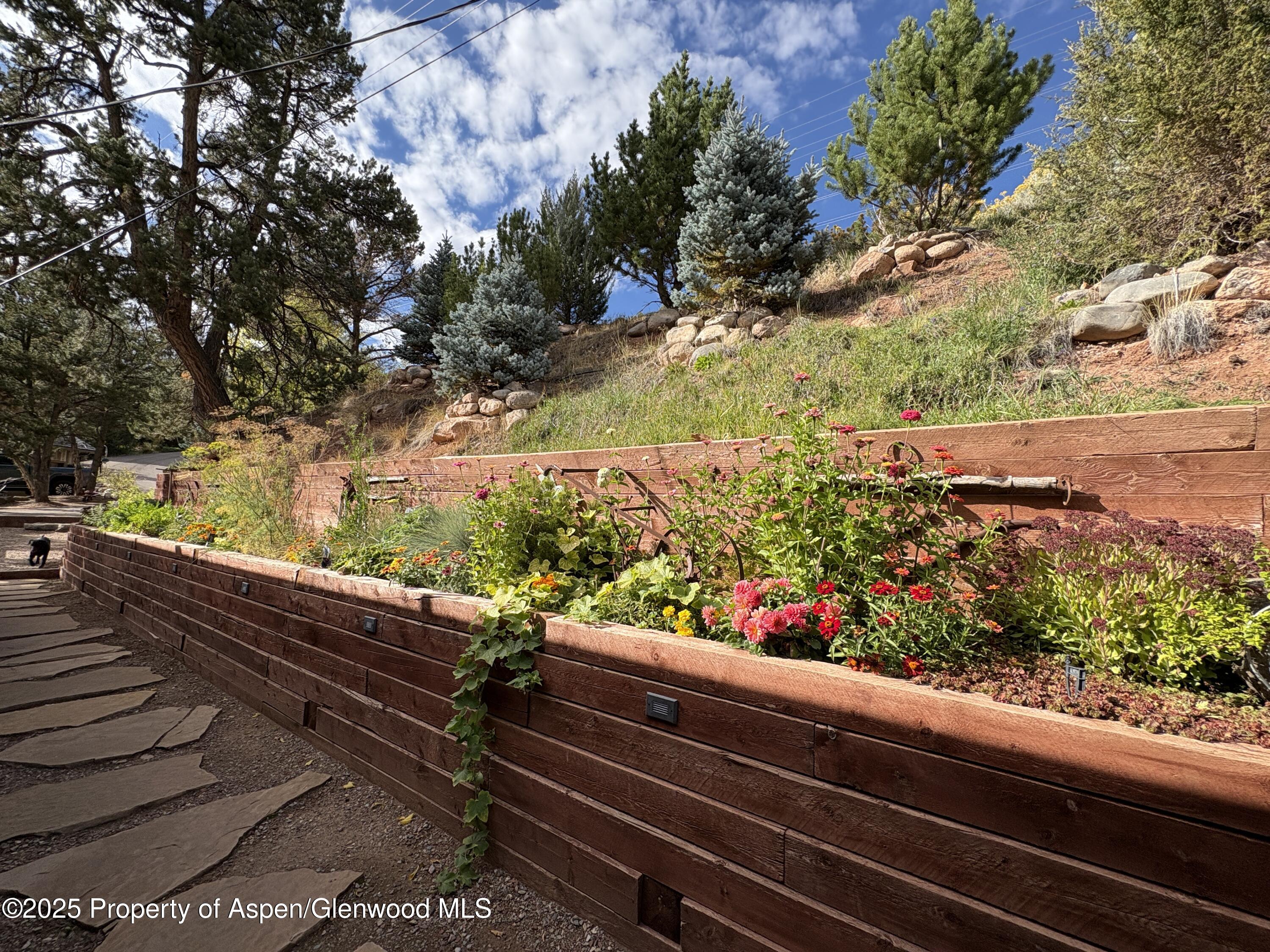 641 Pinon Drive Basalt CO 81621