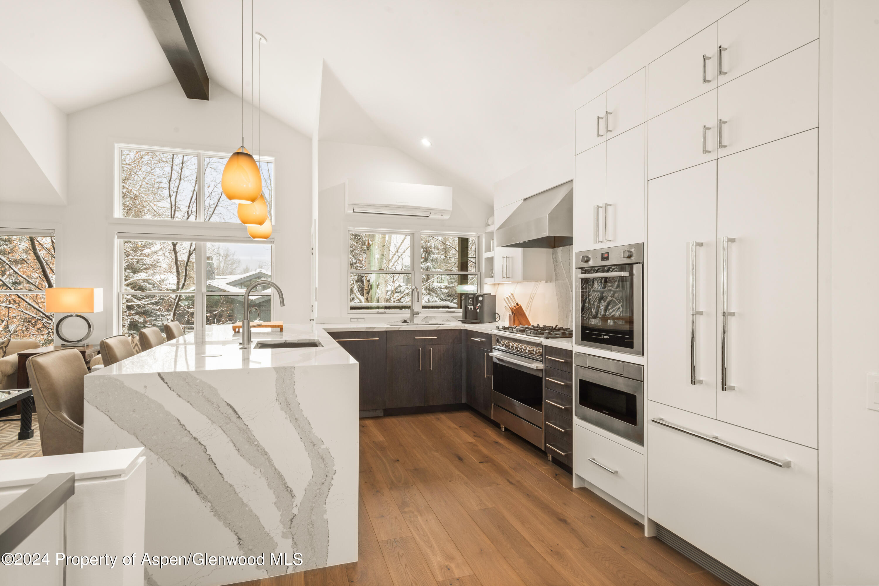 927 E Durant Avenue Aspen CO 81611