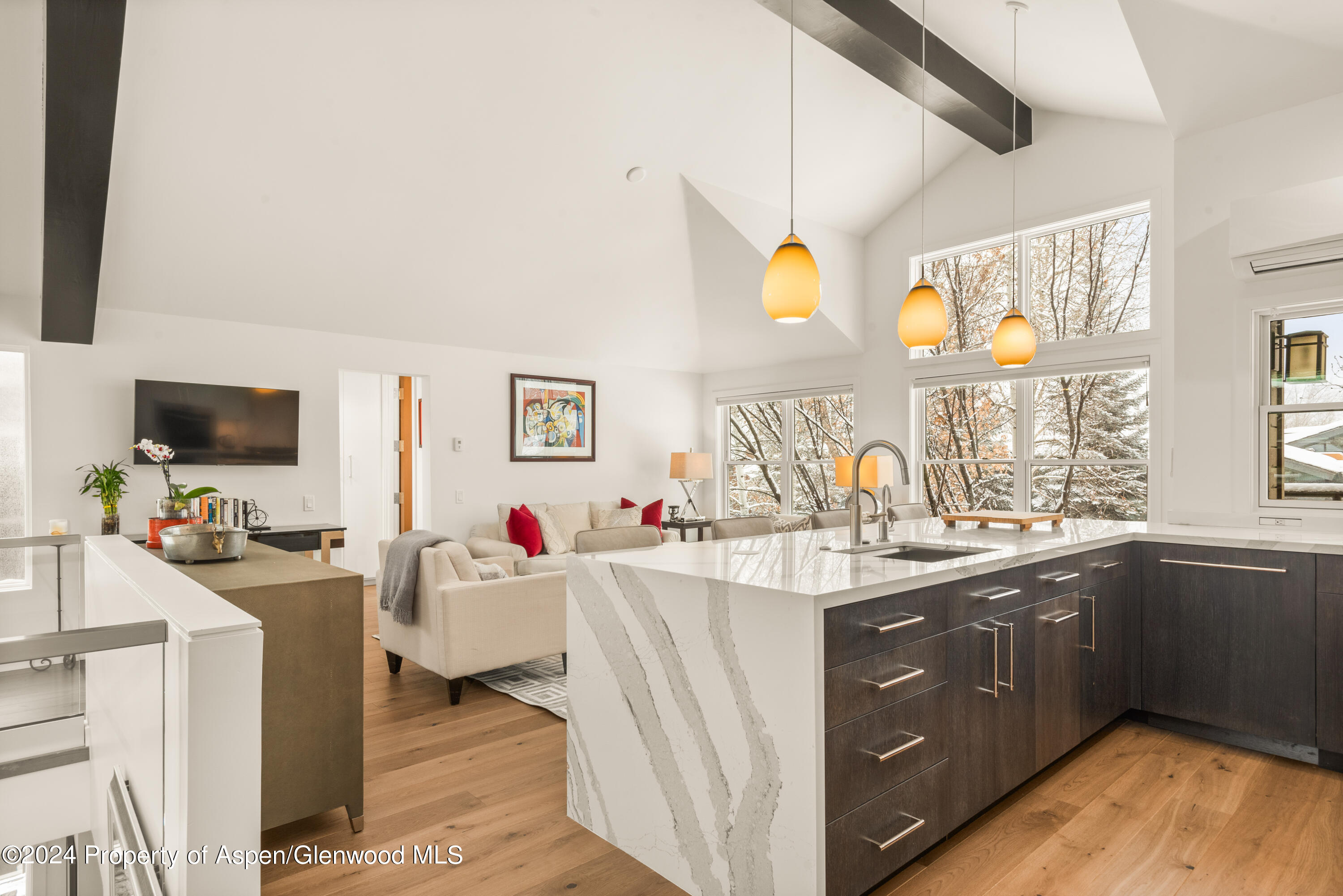 927 E Durant Avenue Aspen CO 81611