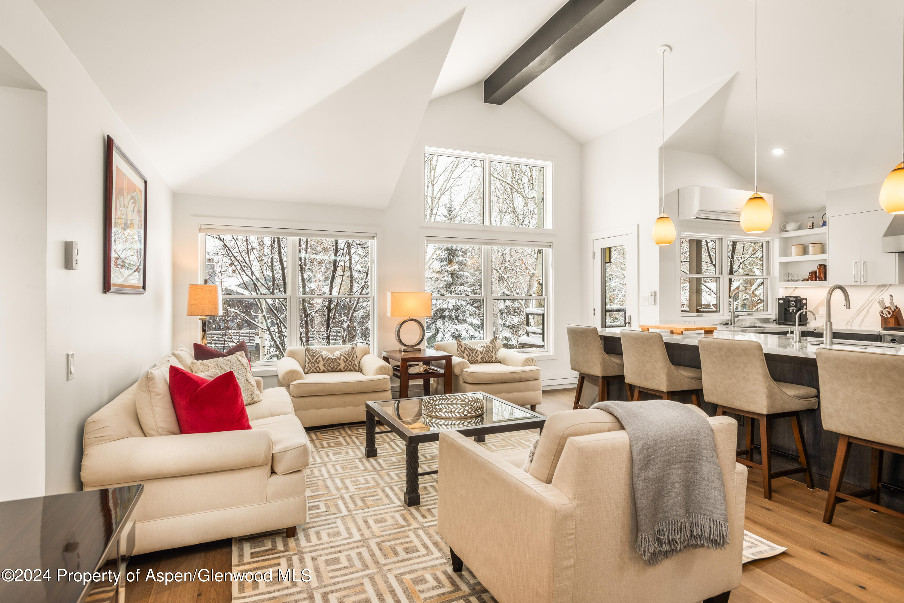 927 E Durant Avenue Aspen CO 81611