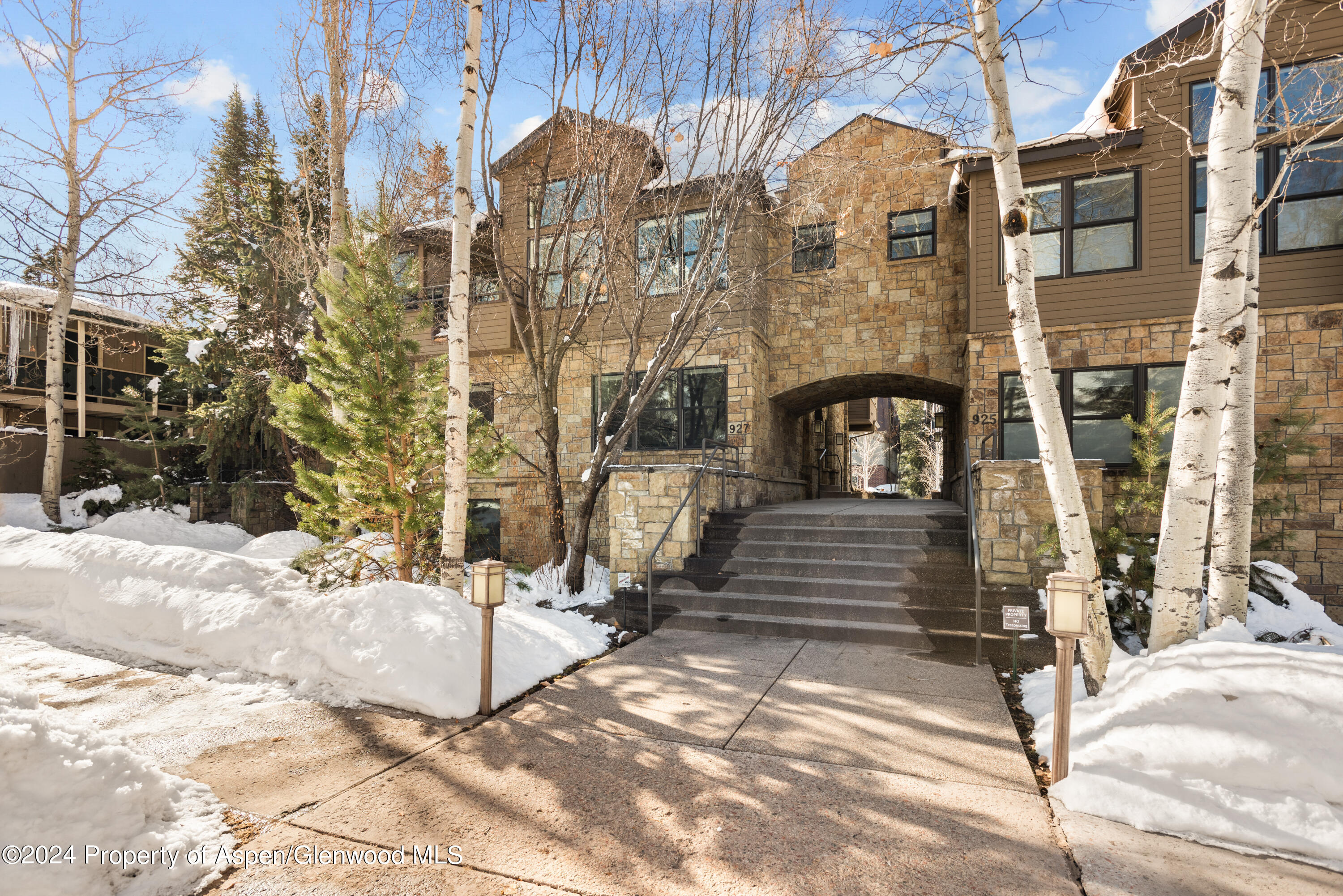 927 E Durant Avenue Aspen CO 81611