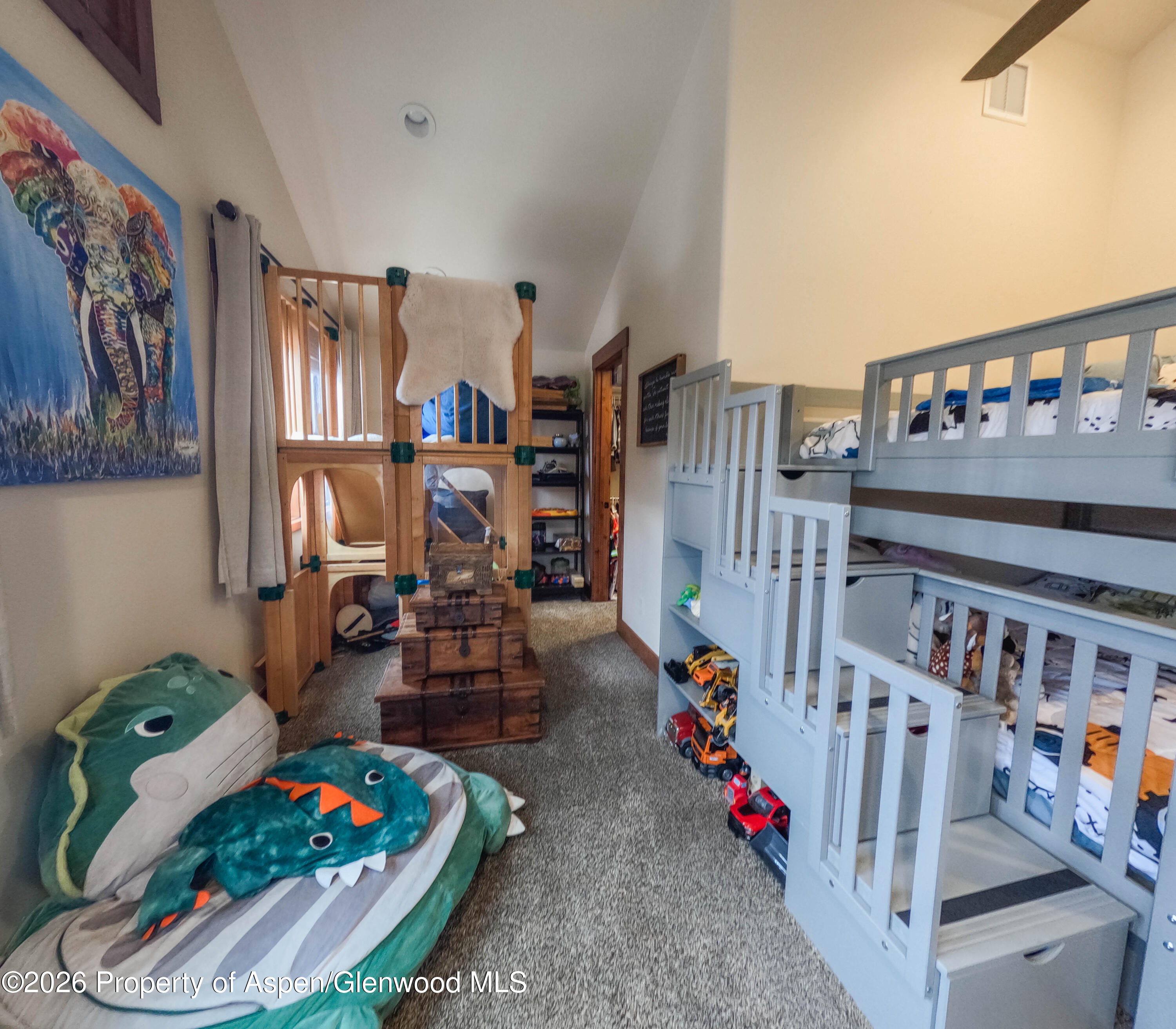 109 Valley Court Basalt CO 81621