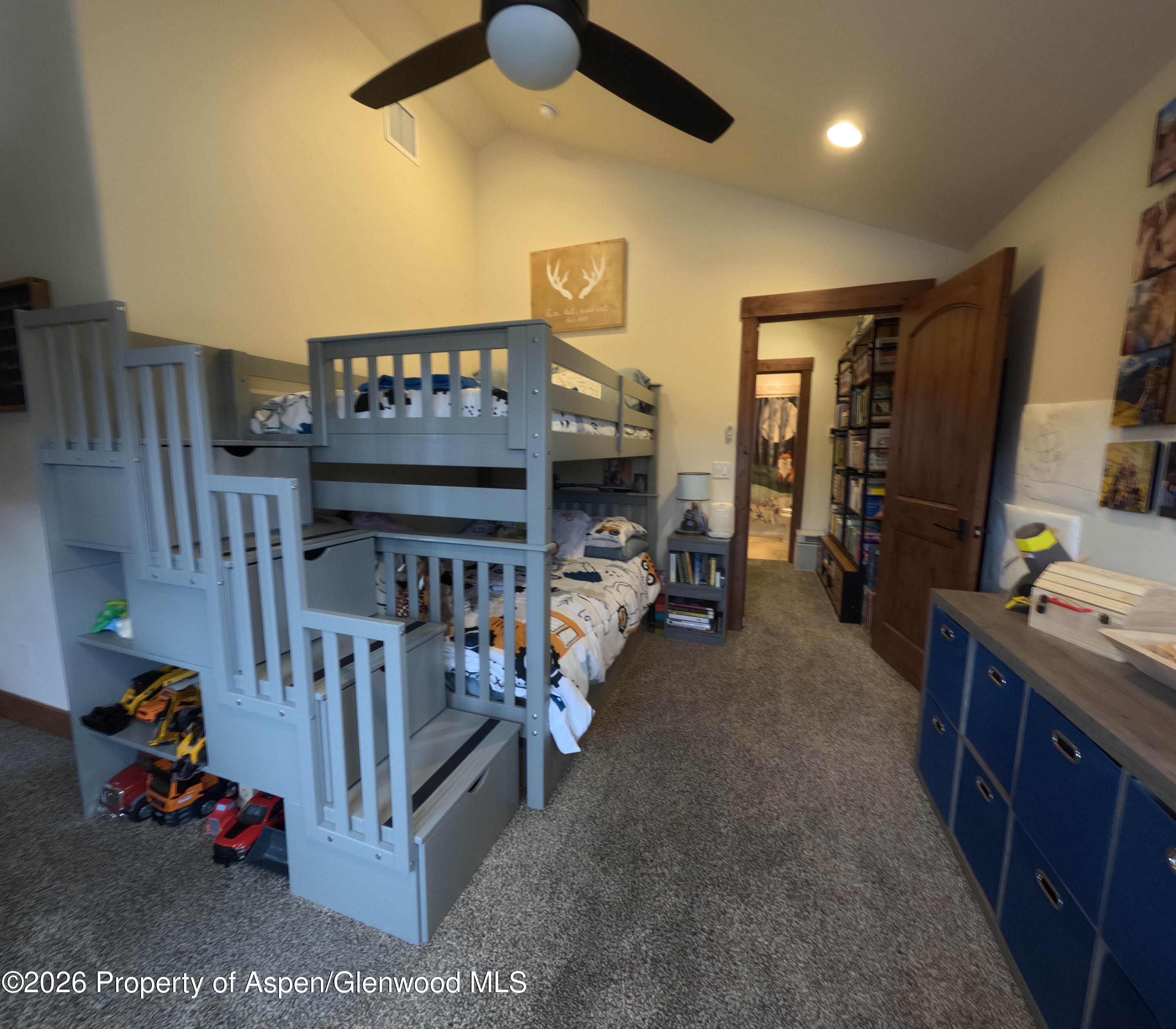 109 Valley Court Basalt CO 81621