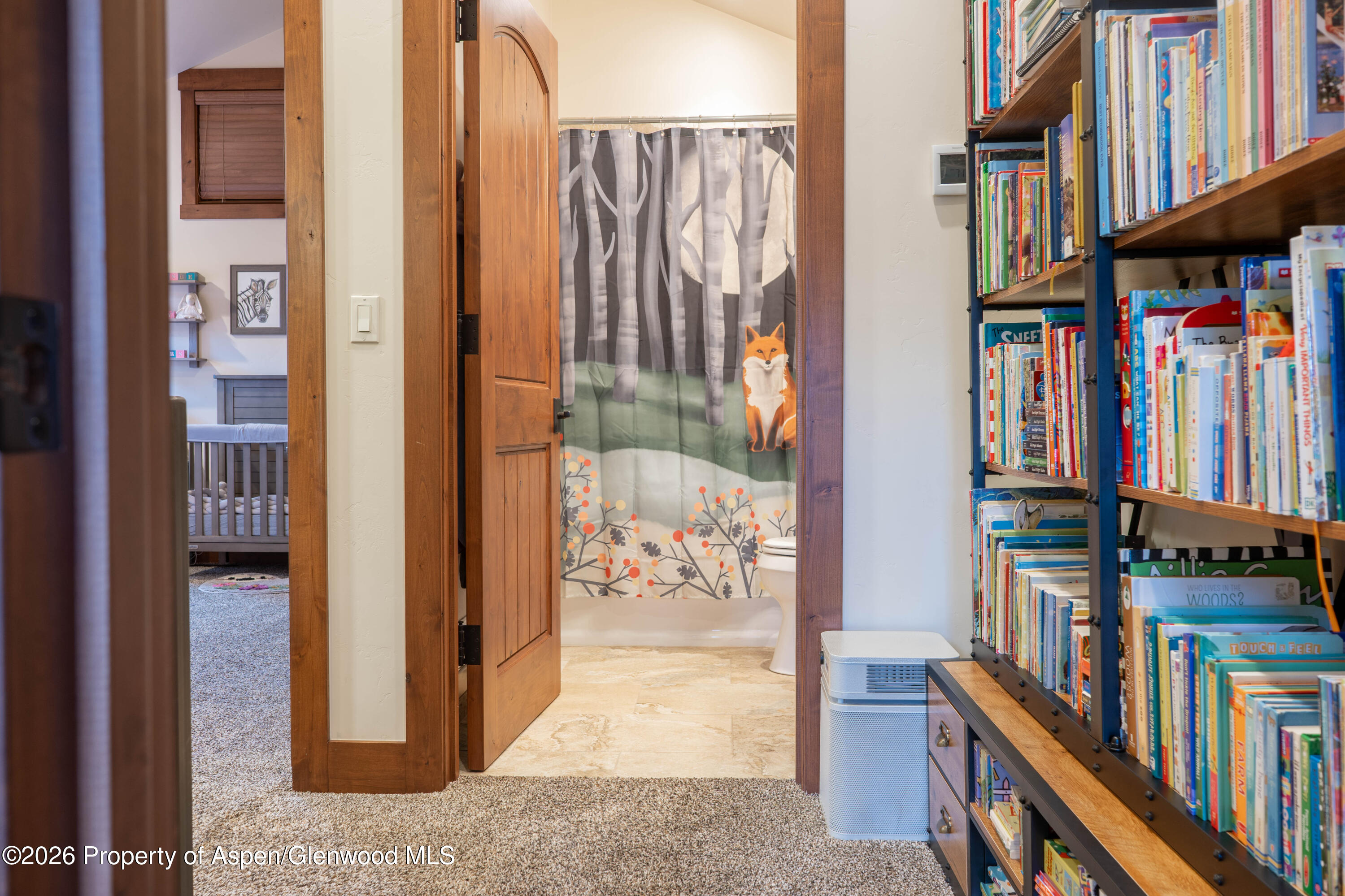 109 Valley Court Basalt CO 81621