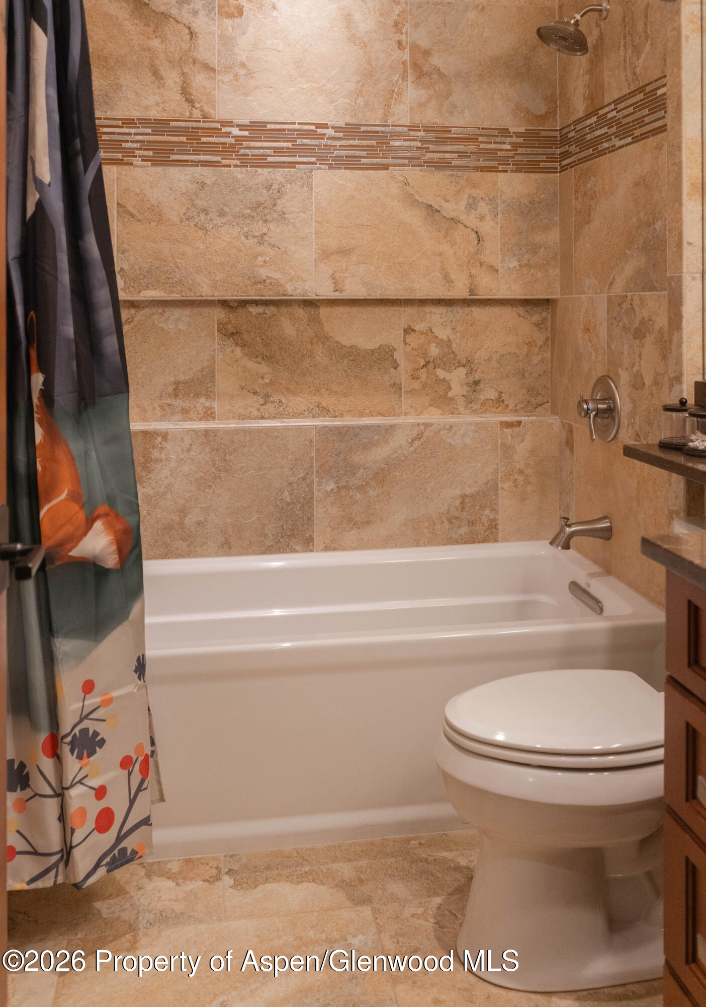 109 Valley Court Basalt CO 81621