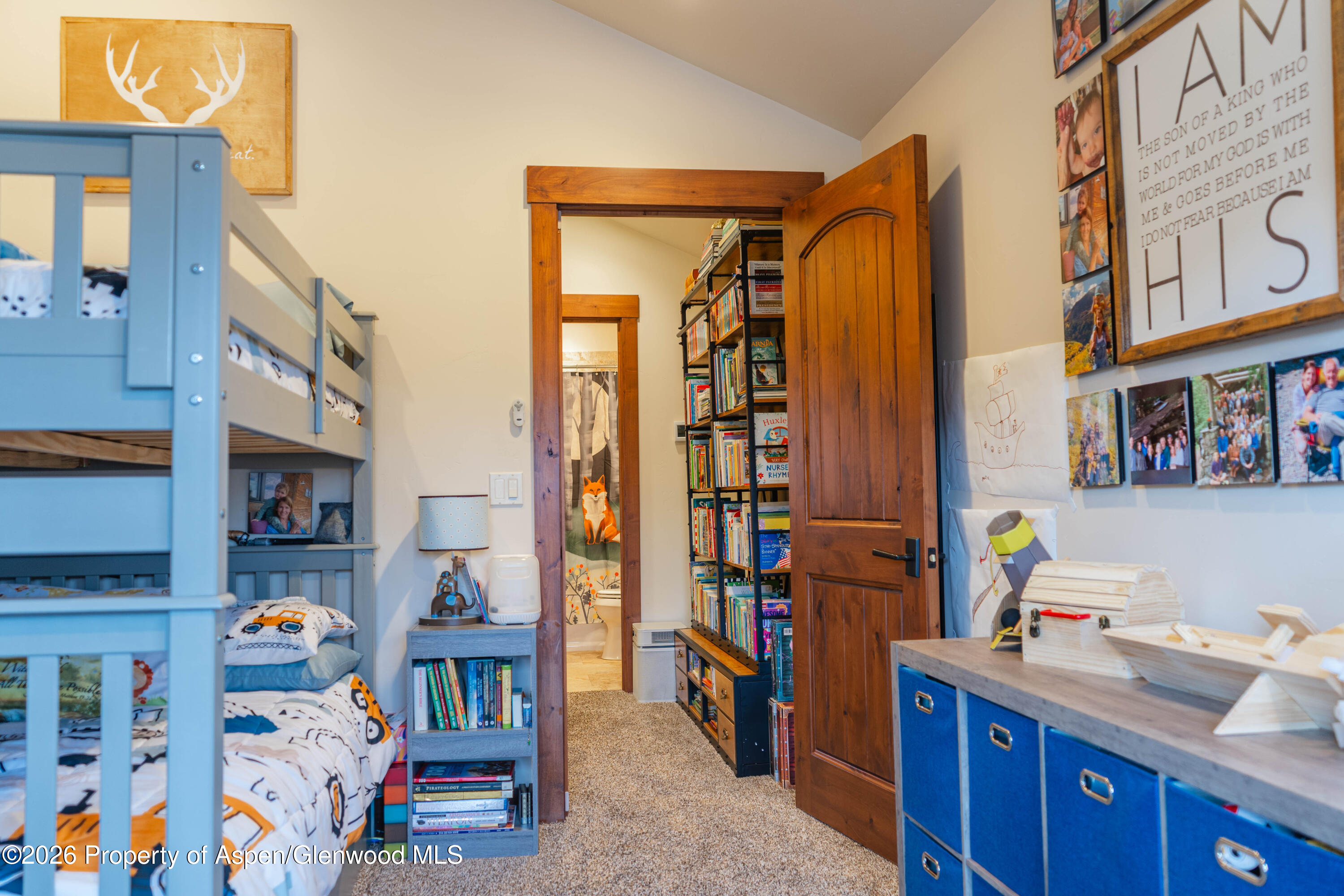 109 Valley Court Basalt CO 81621