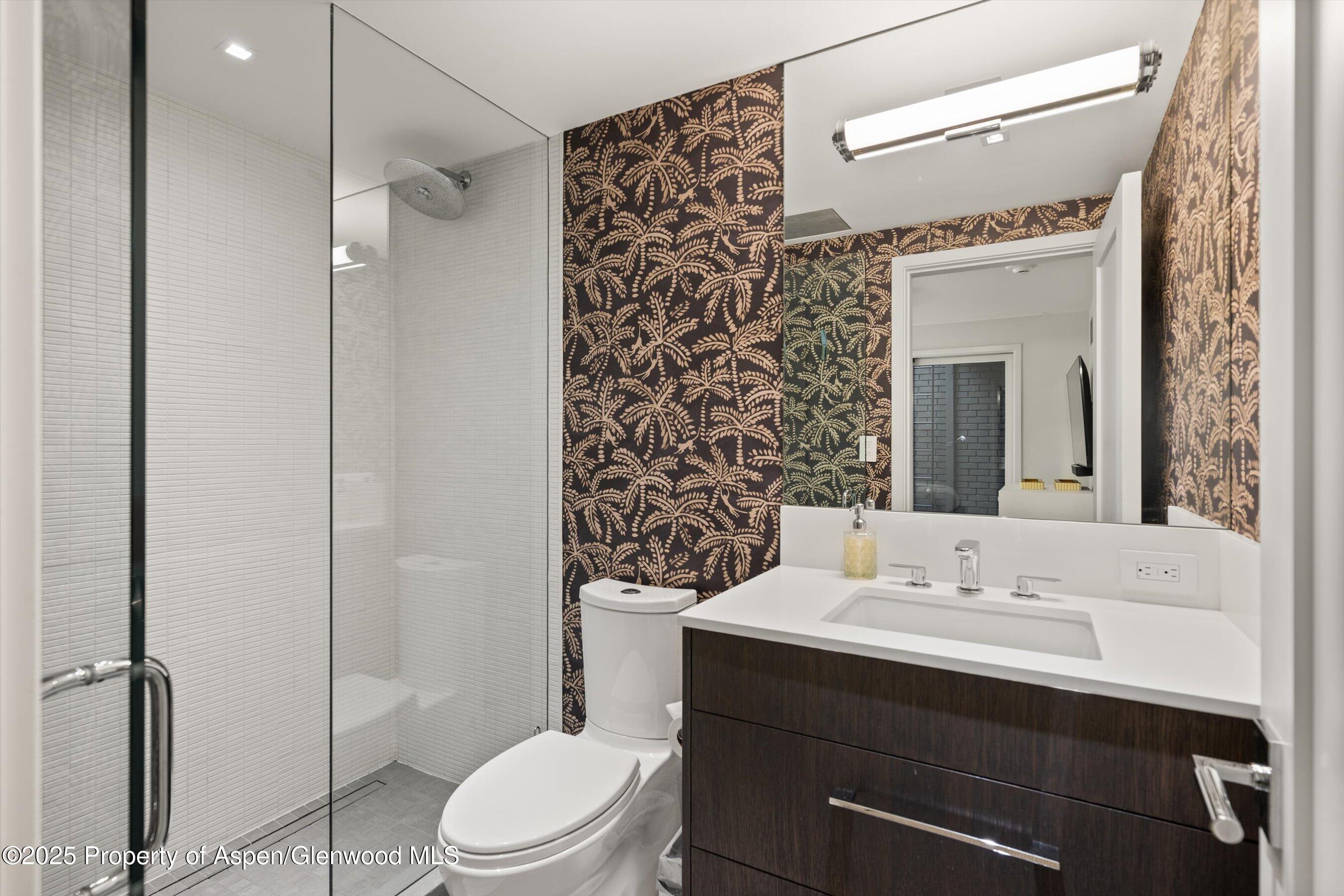 1001 E Cooper Avenue Aspen CO 81611