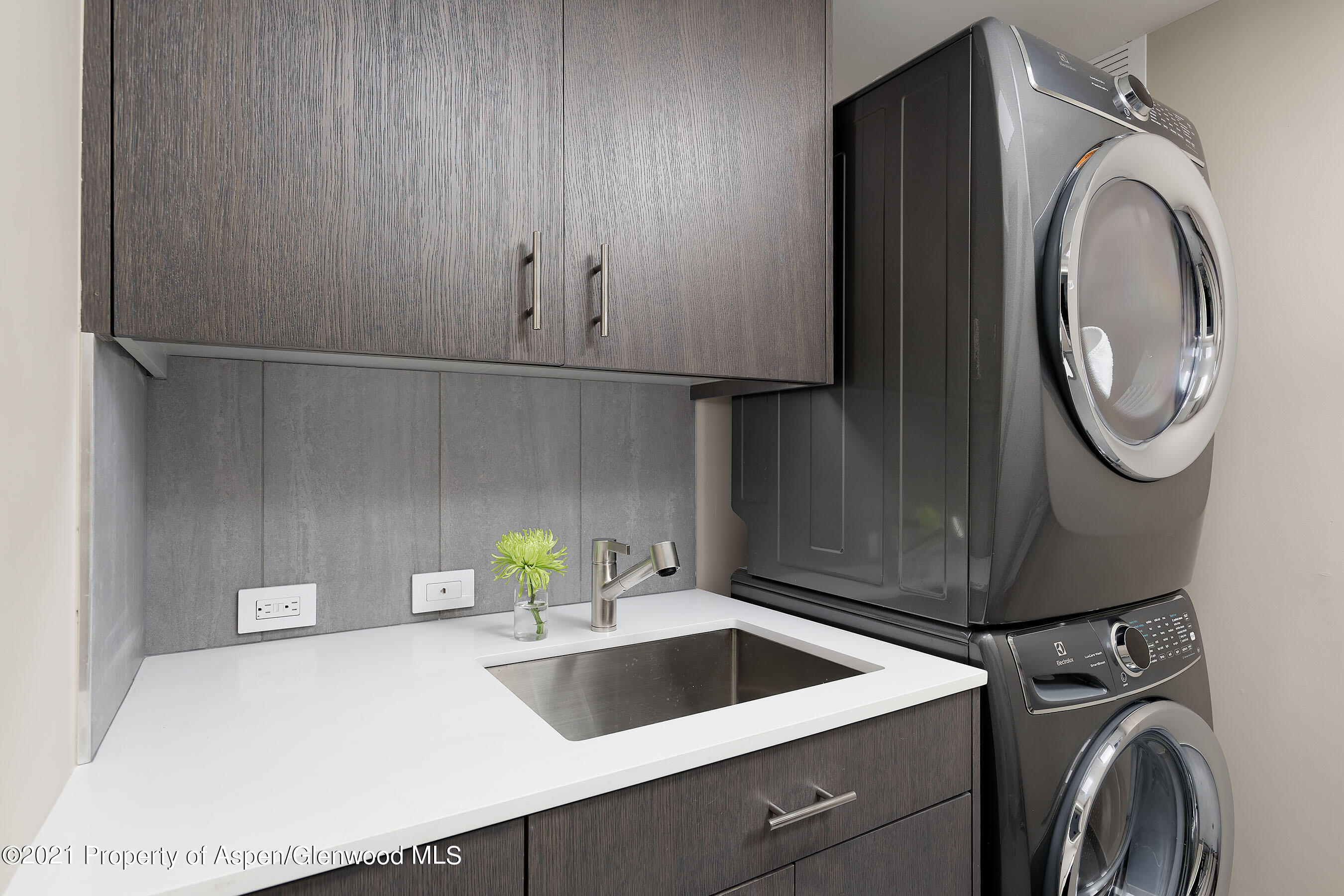 1001 E Cooper Avenue Aspen CO 81611