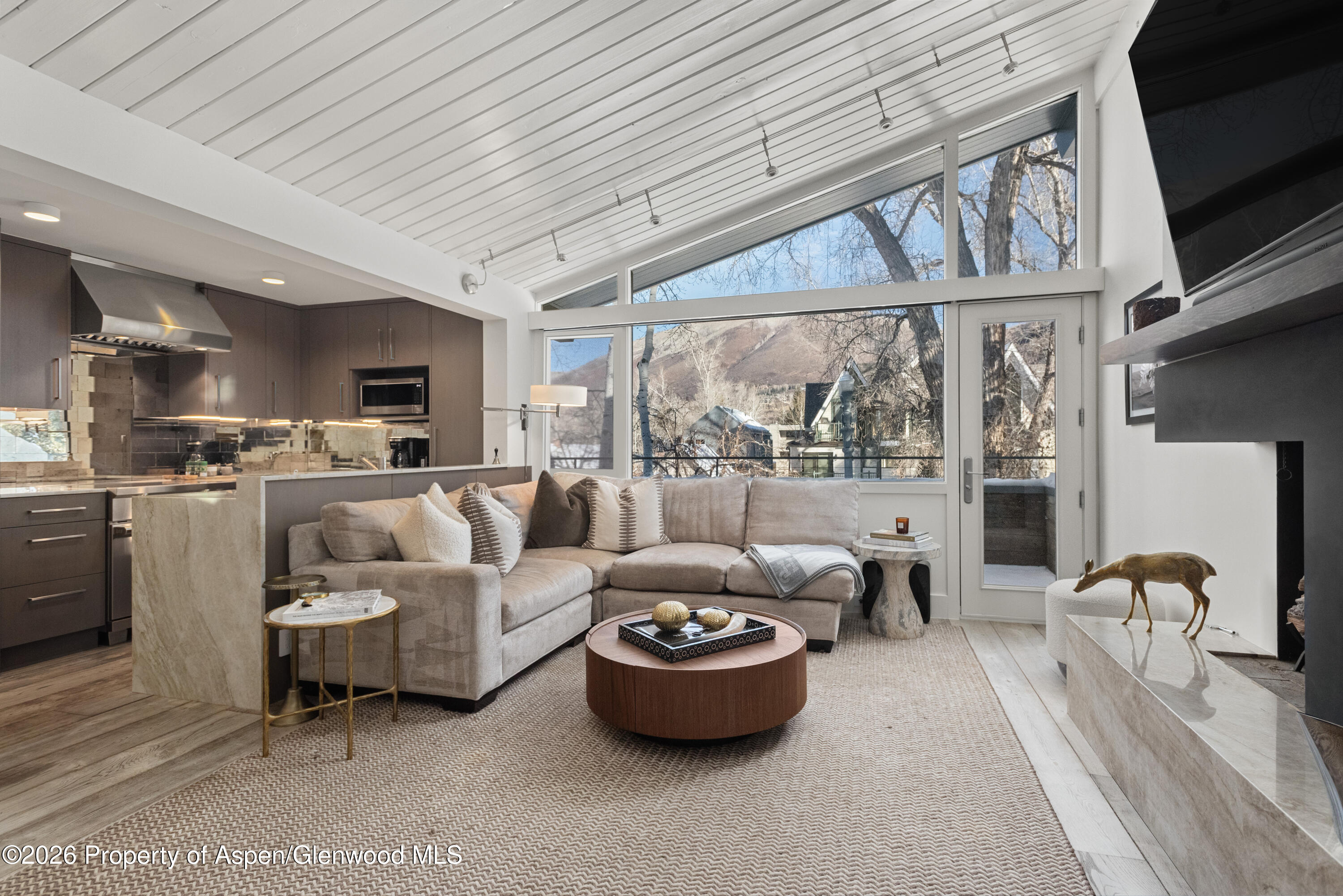 1001 E Cooper Avenue Aspen CO 81611