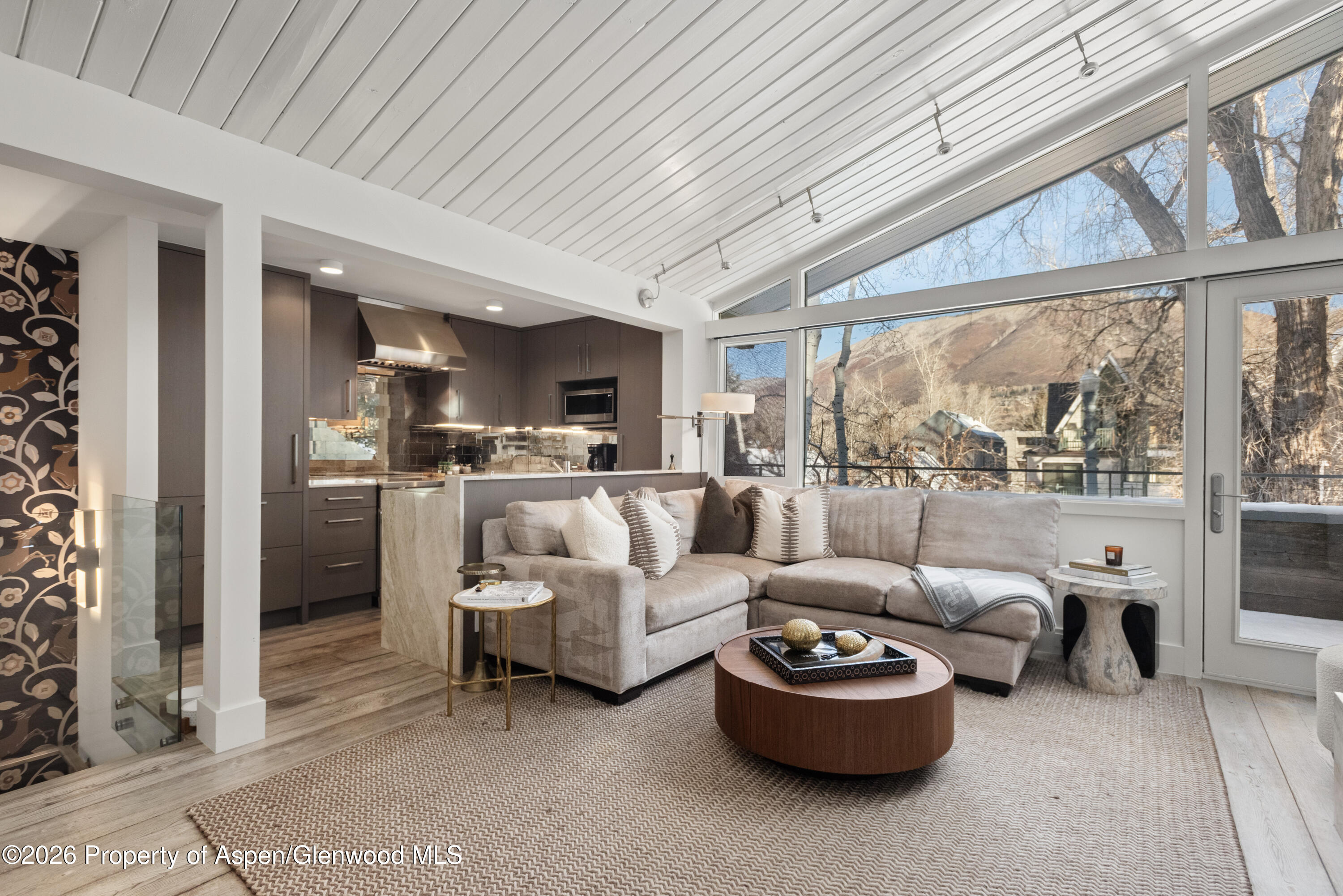 1001 E Cooper Avenue Aspen CO 81611