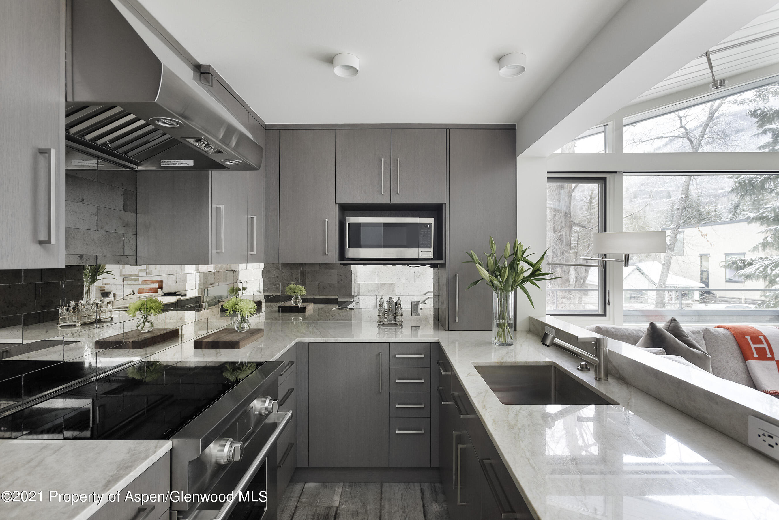 1001 E Cooper Avenue Aspen CO 81611