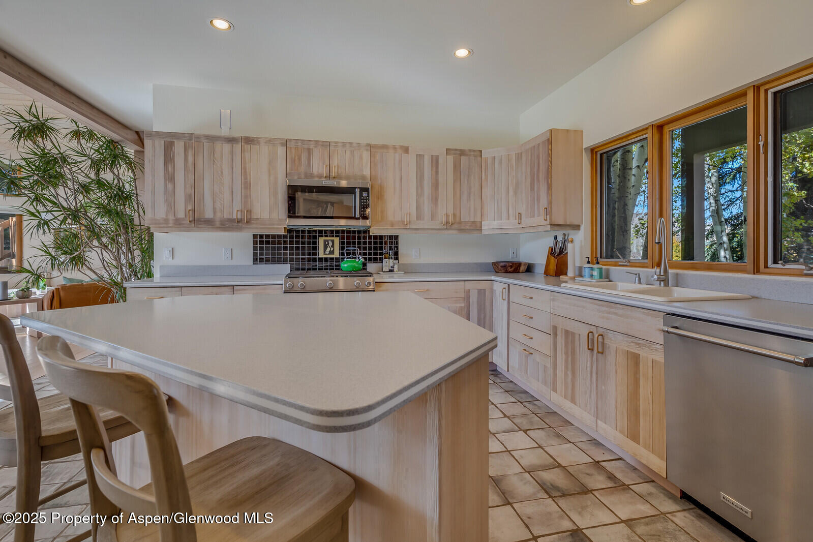 116 Katydid Lane Snowmass CO 81654