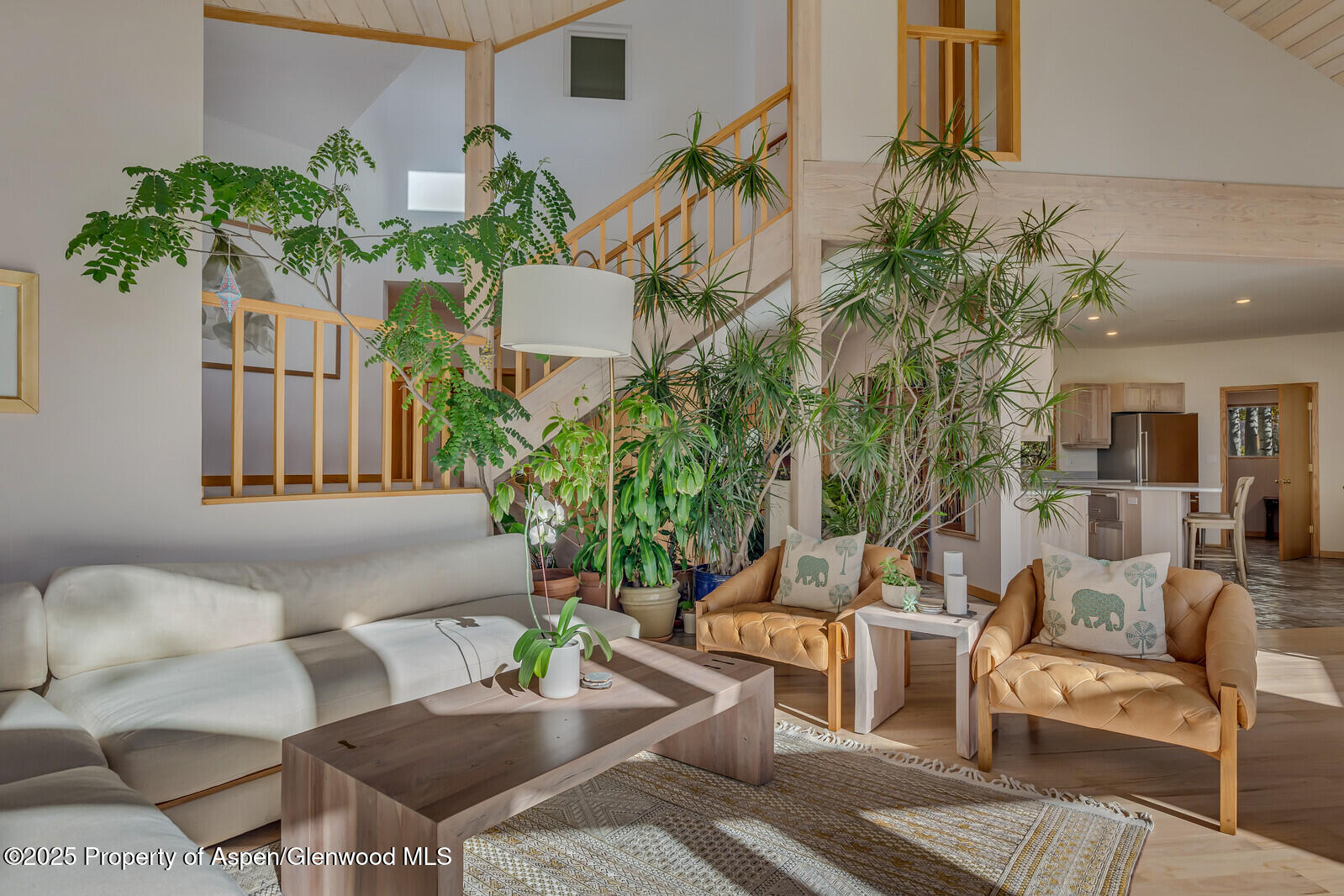 116 Katydid Lane Snowmass CO 81654