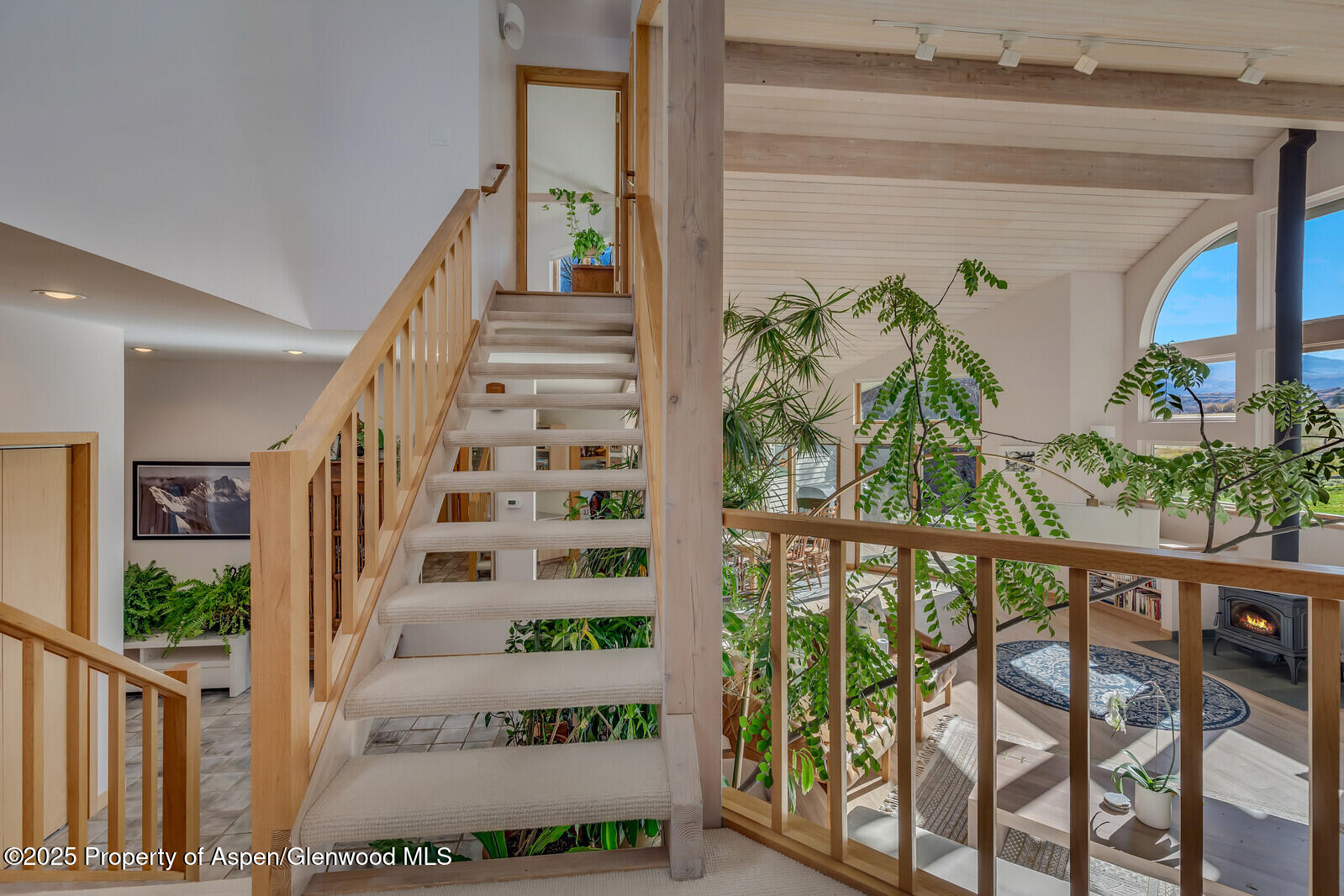 116 Katydid Lane Snowmass CO 81654