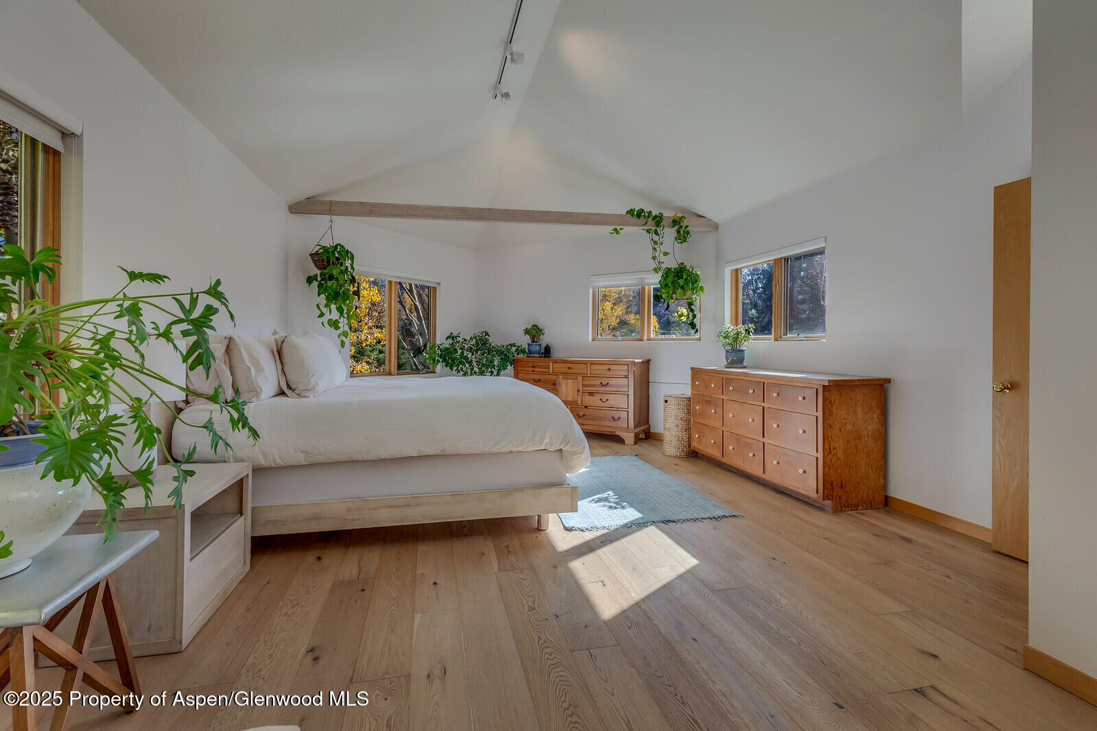 116 Katydid Lane Snowmass CO 81654