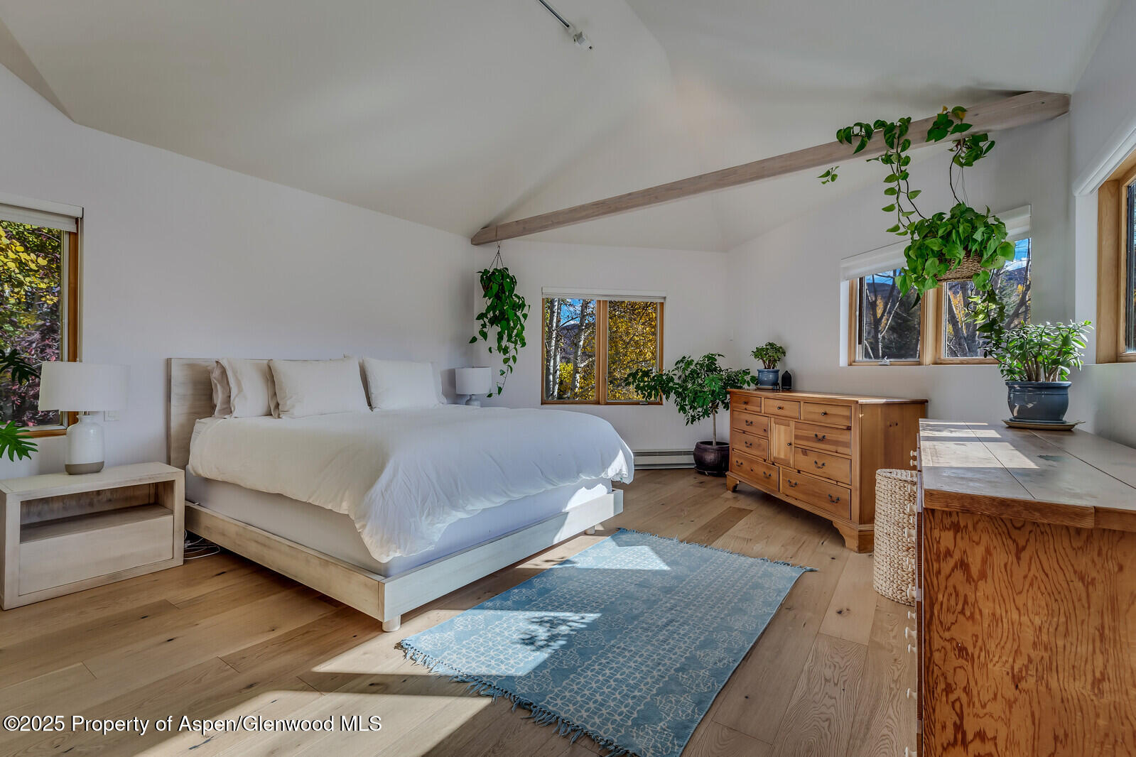 116 Katydid Lane Snowmass CO 81654