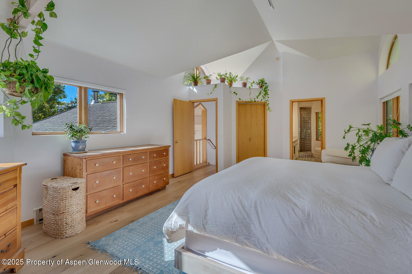 116 Katydid Lane Snowmass CO 81654