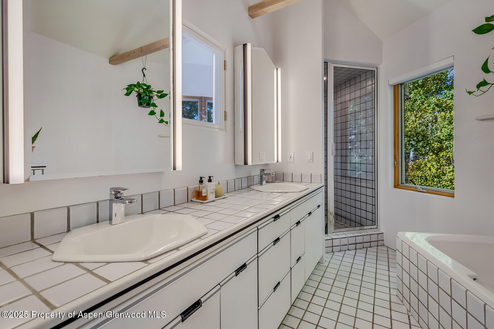 116 Katydid Lane Snowmass CO 81654