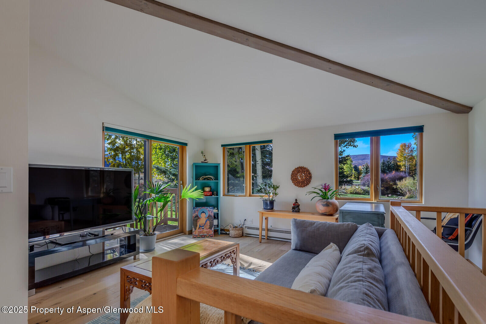 116 Katydid Lane Snowmass CO 81654