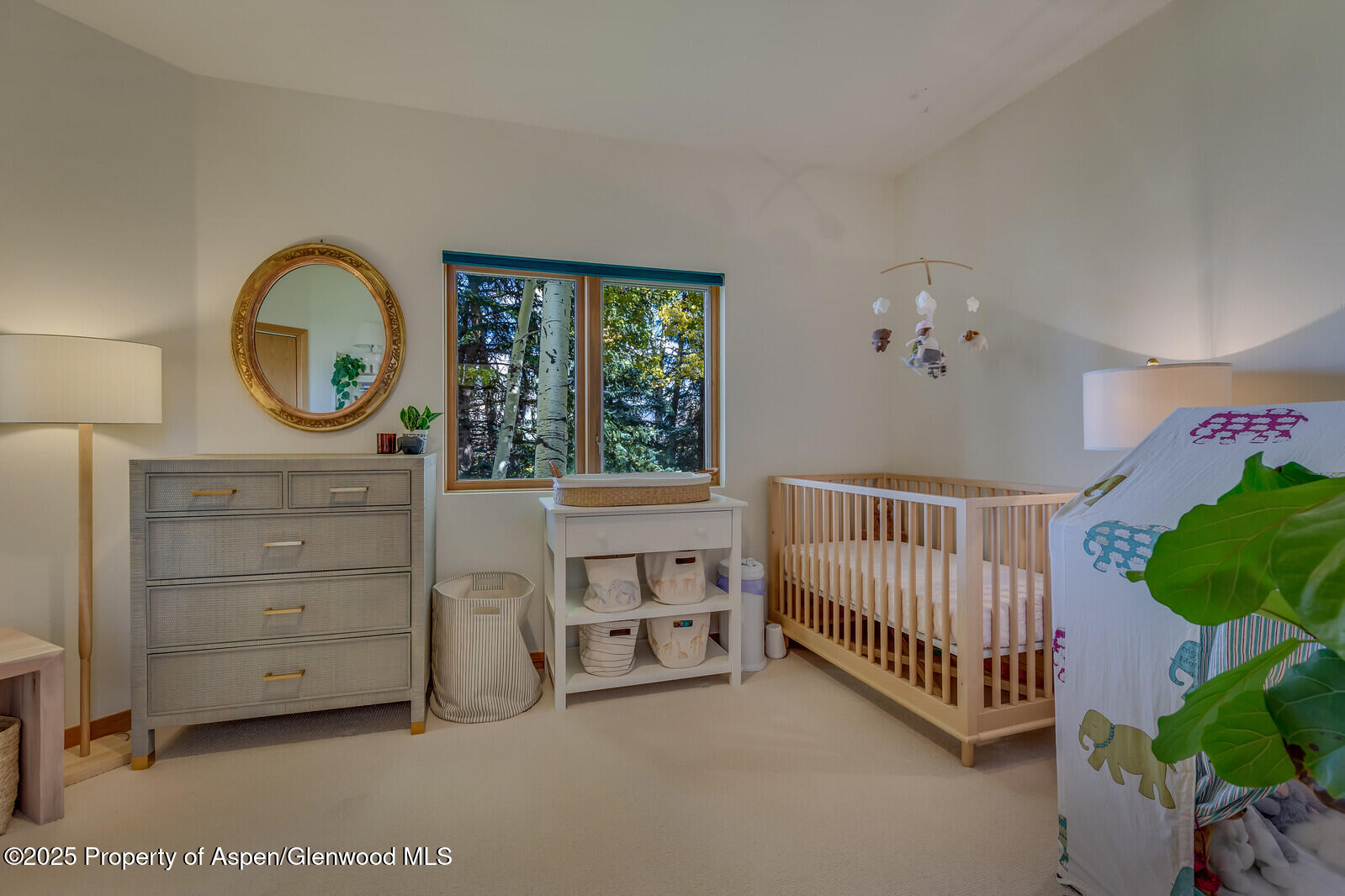 116 Katydid Lane Snowmass CO 81654