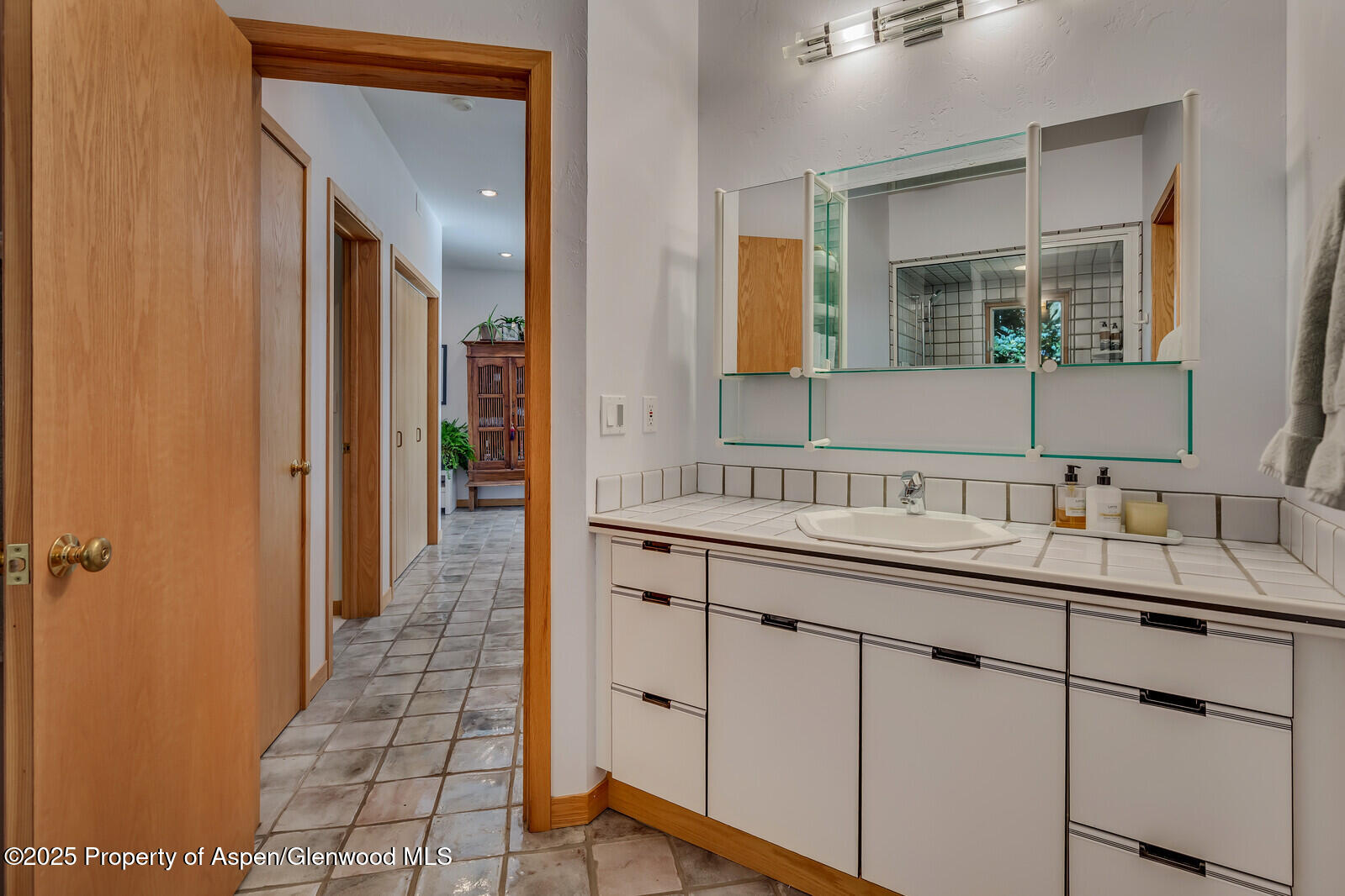 116 Katydid Lane Snowmass CO 81654