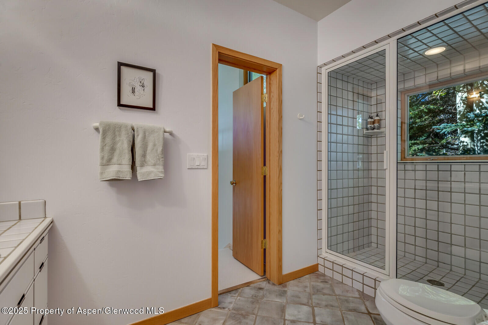 116 Katydid Lane Snowmass CO 81654