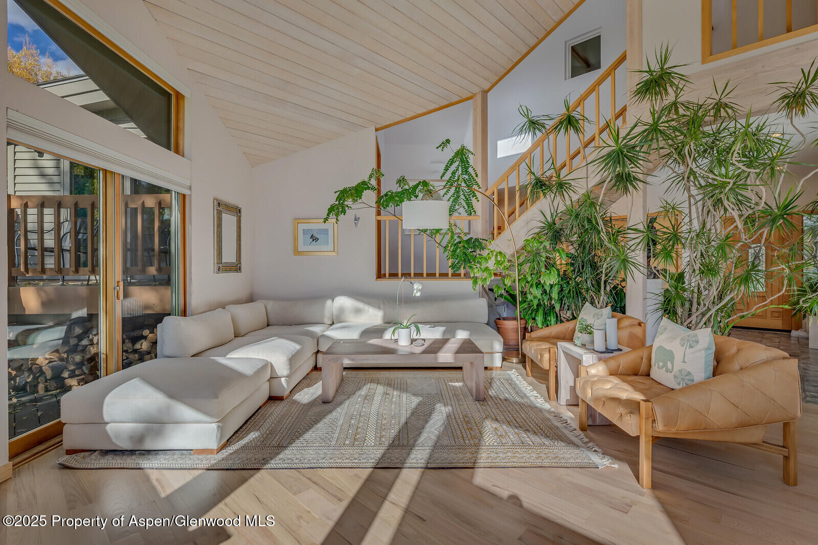 116 Katydid Lane Snowmass CO 81654