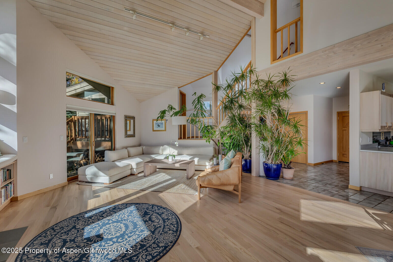 116 Katydid Lane Snowmass CO 81654