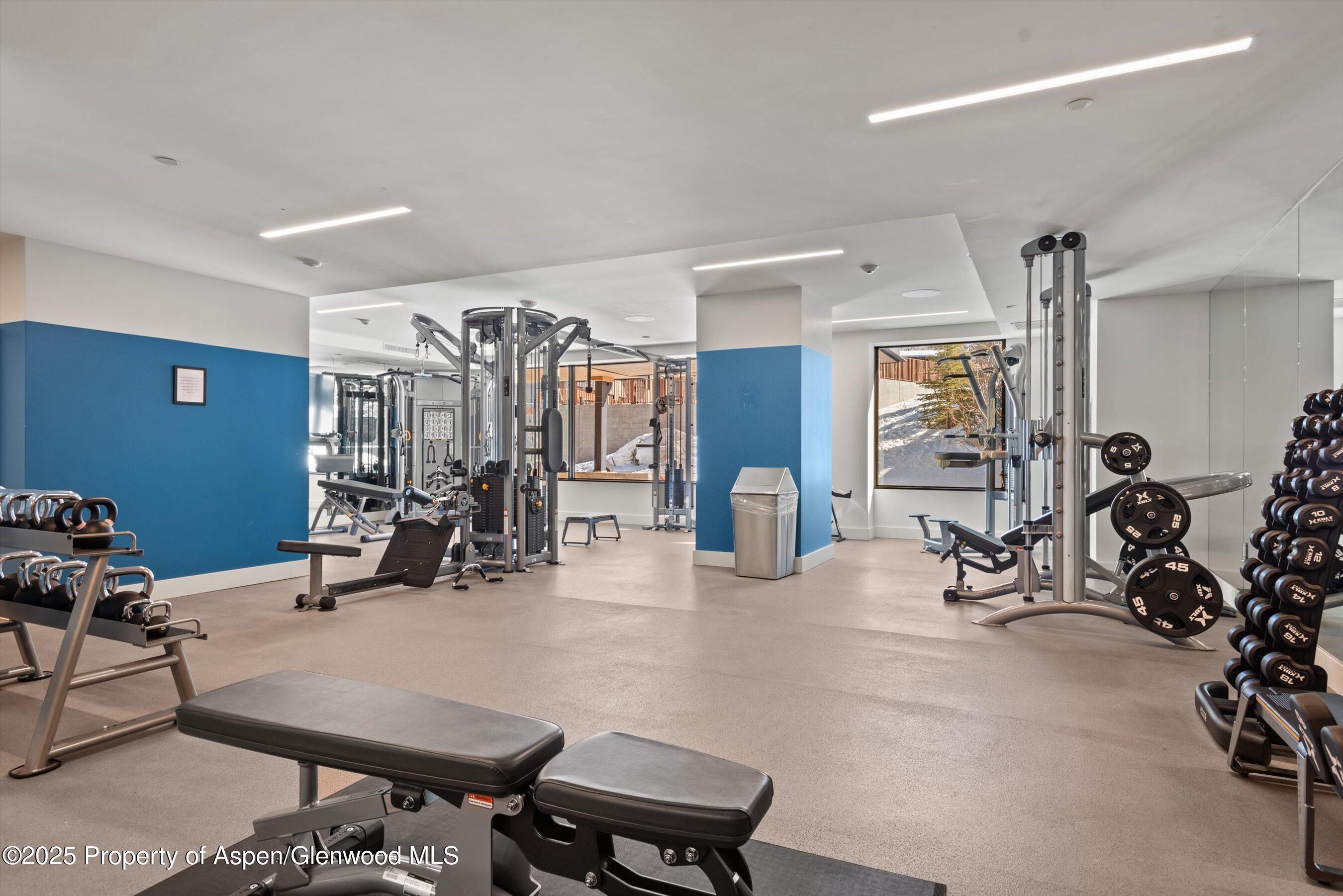119 Wood Road Snowmass Village CO 81615