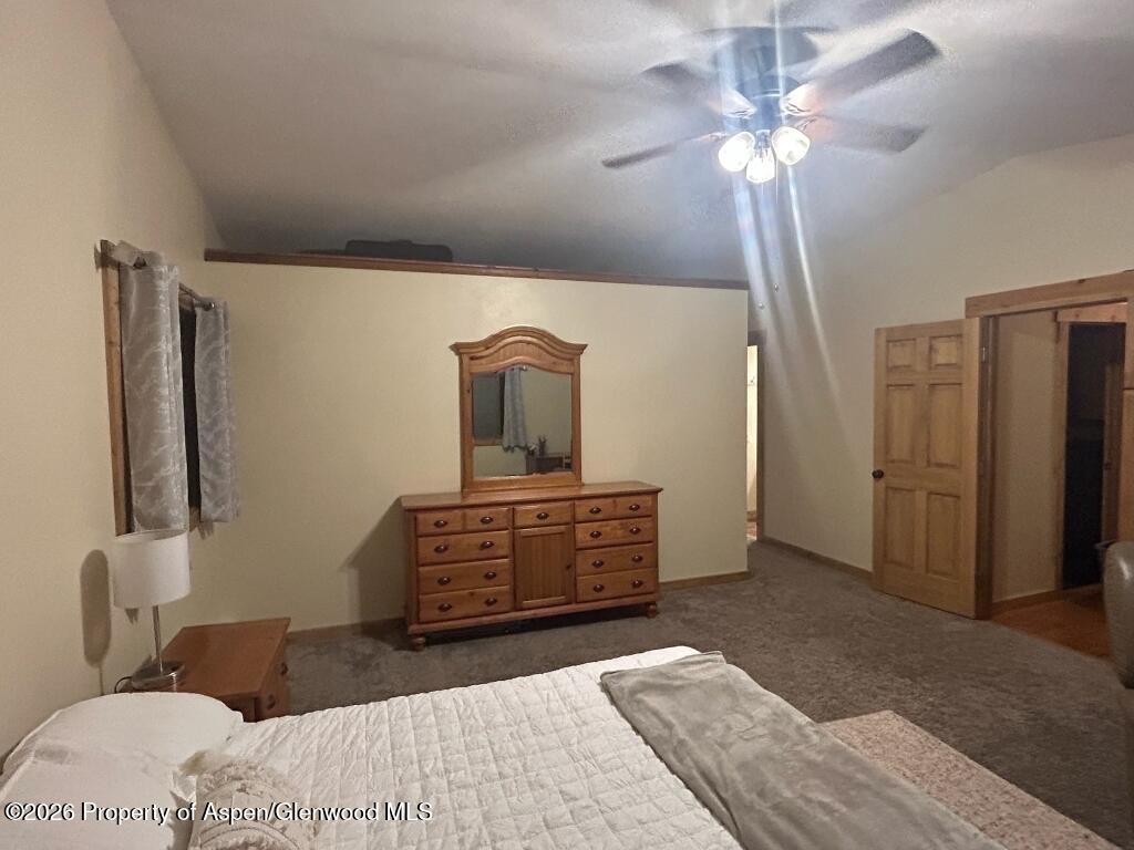 824 N Traver Trail Glenwood Springs CO 81601