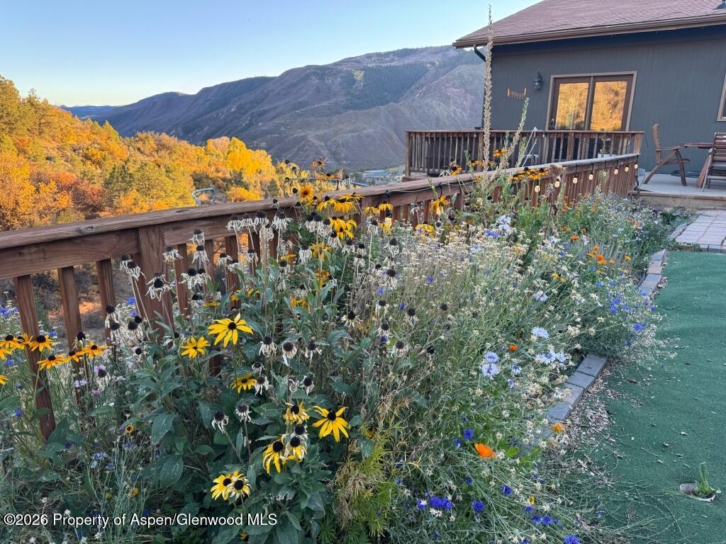 824 N Traver Trail Glenwood Springs CO 81601