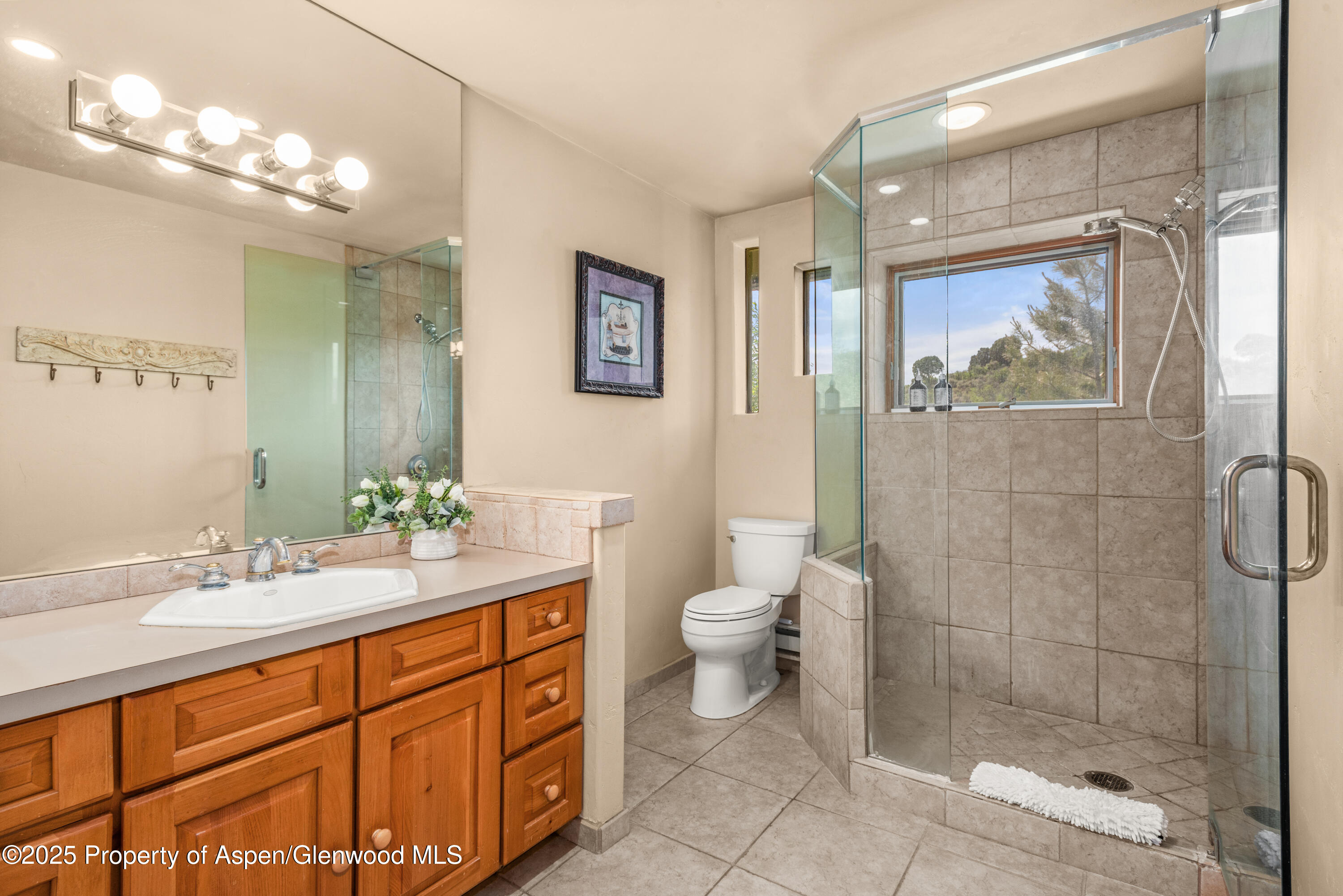 614 Light Hill Road Snowmass CO 81654