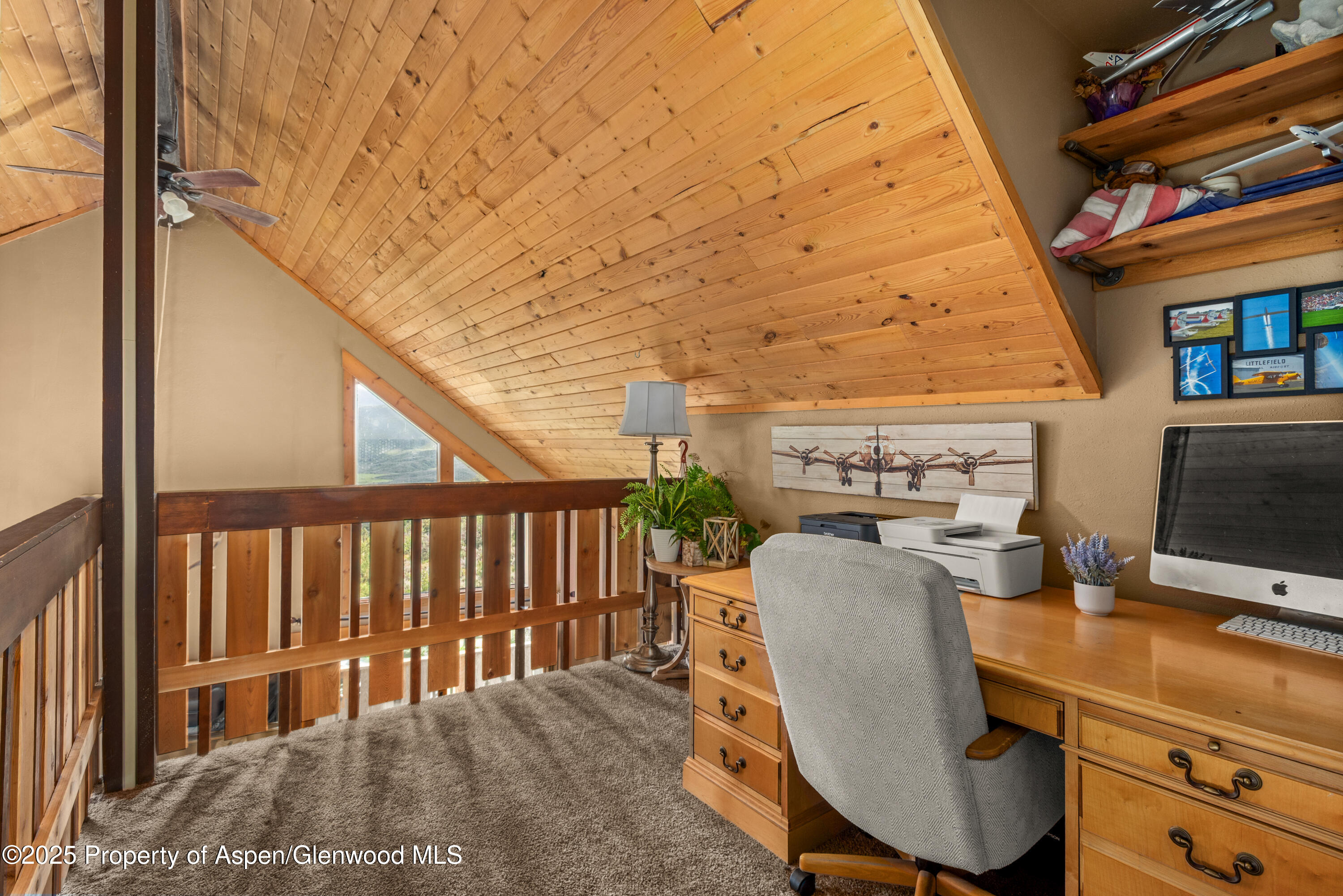 614 Light Hill Road Snowmass CO 81654