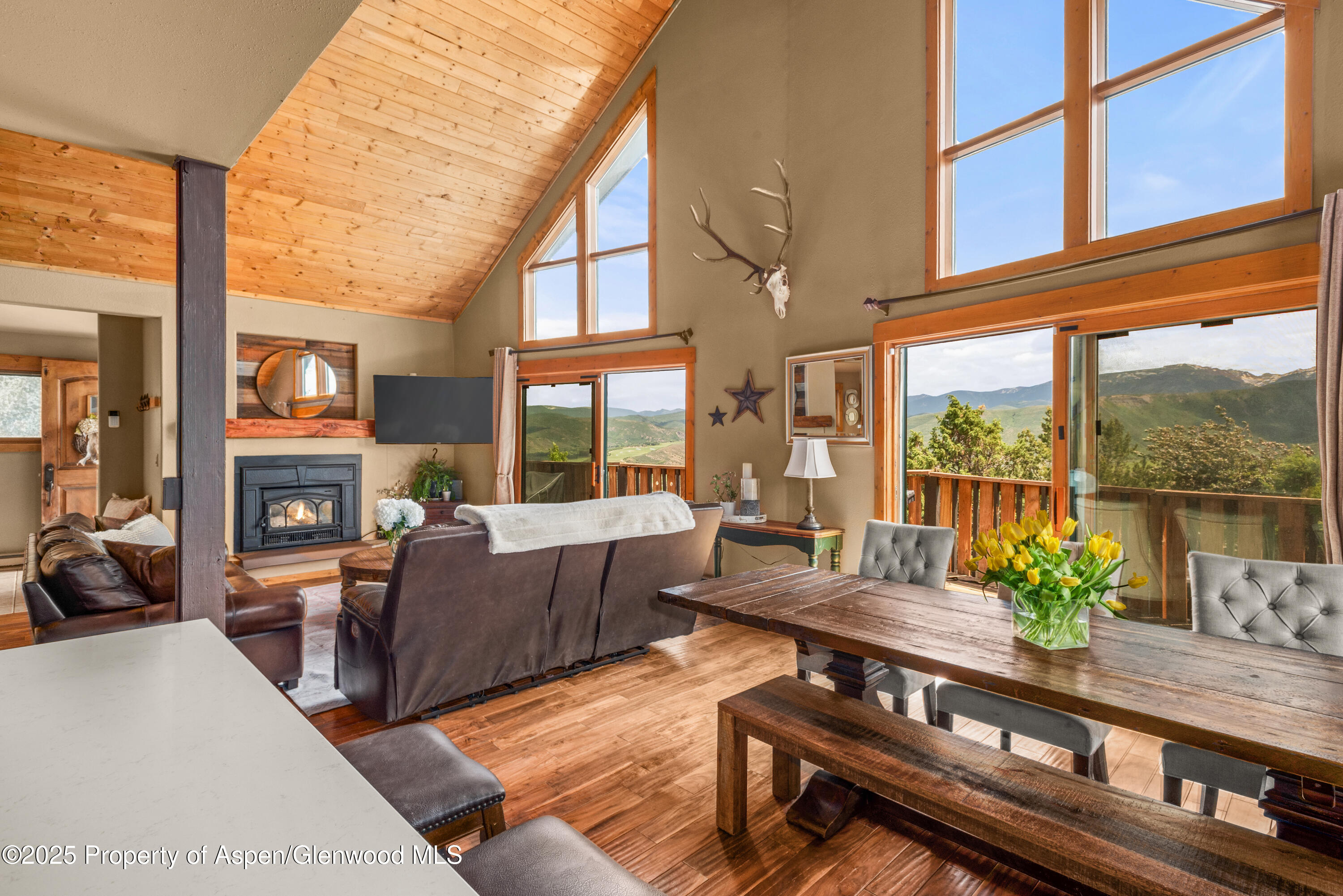 614 Light Hill Road Snowmass CO 81654