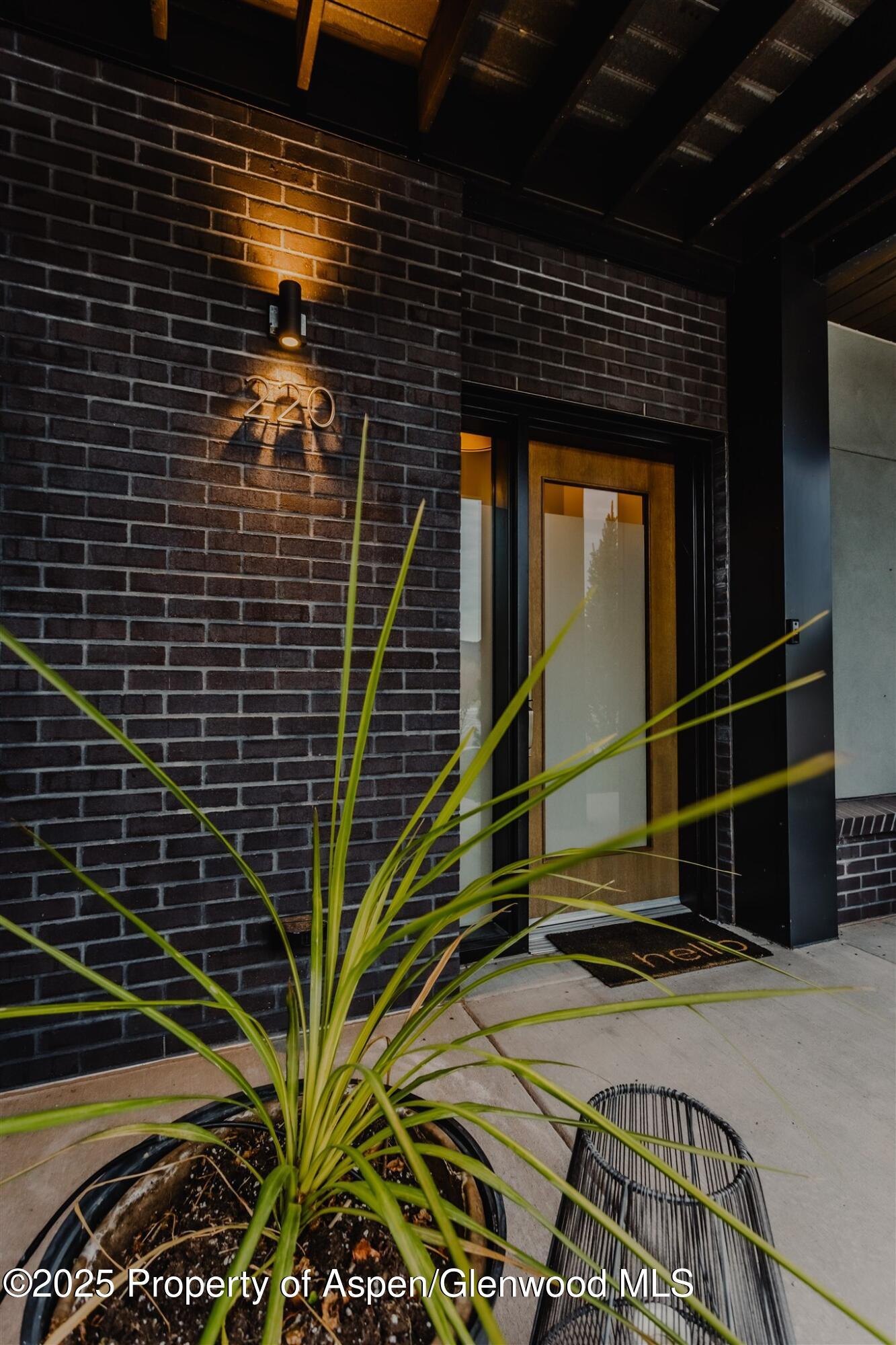 220 E Lewis Lane Basalt CO 81621