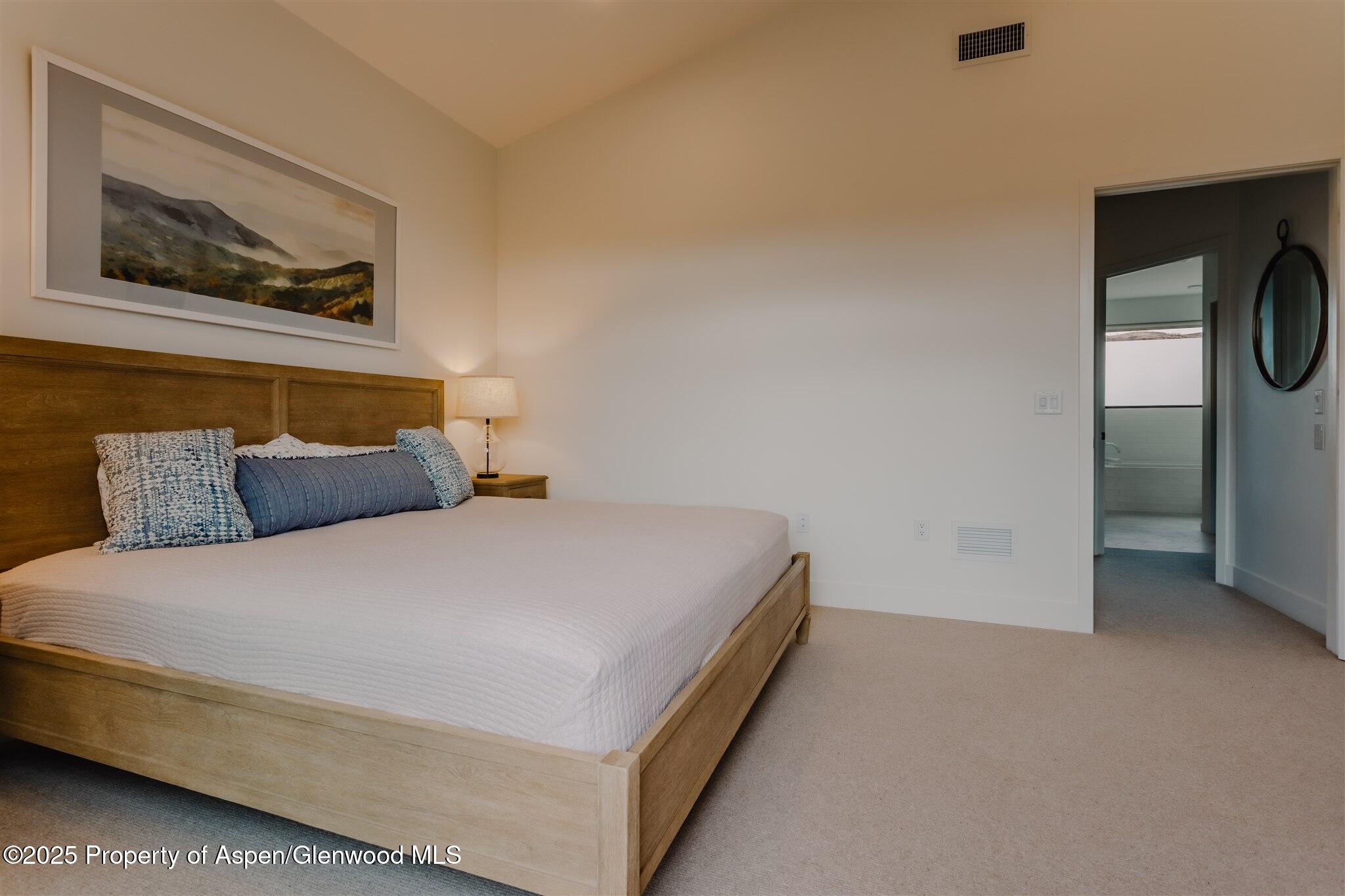 220 E Lewis Lane Basalt CO 81621