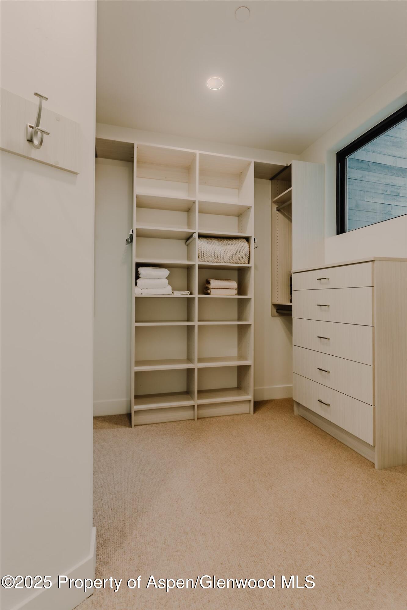 220 E Lewis Lane Basalt CO 81621