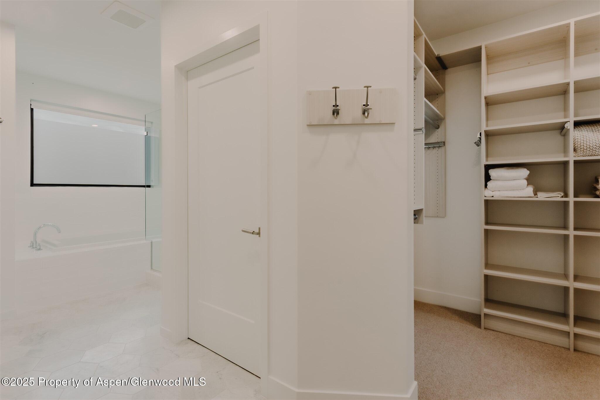 220 E Lewis Lane Basalt CO 81621