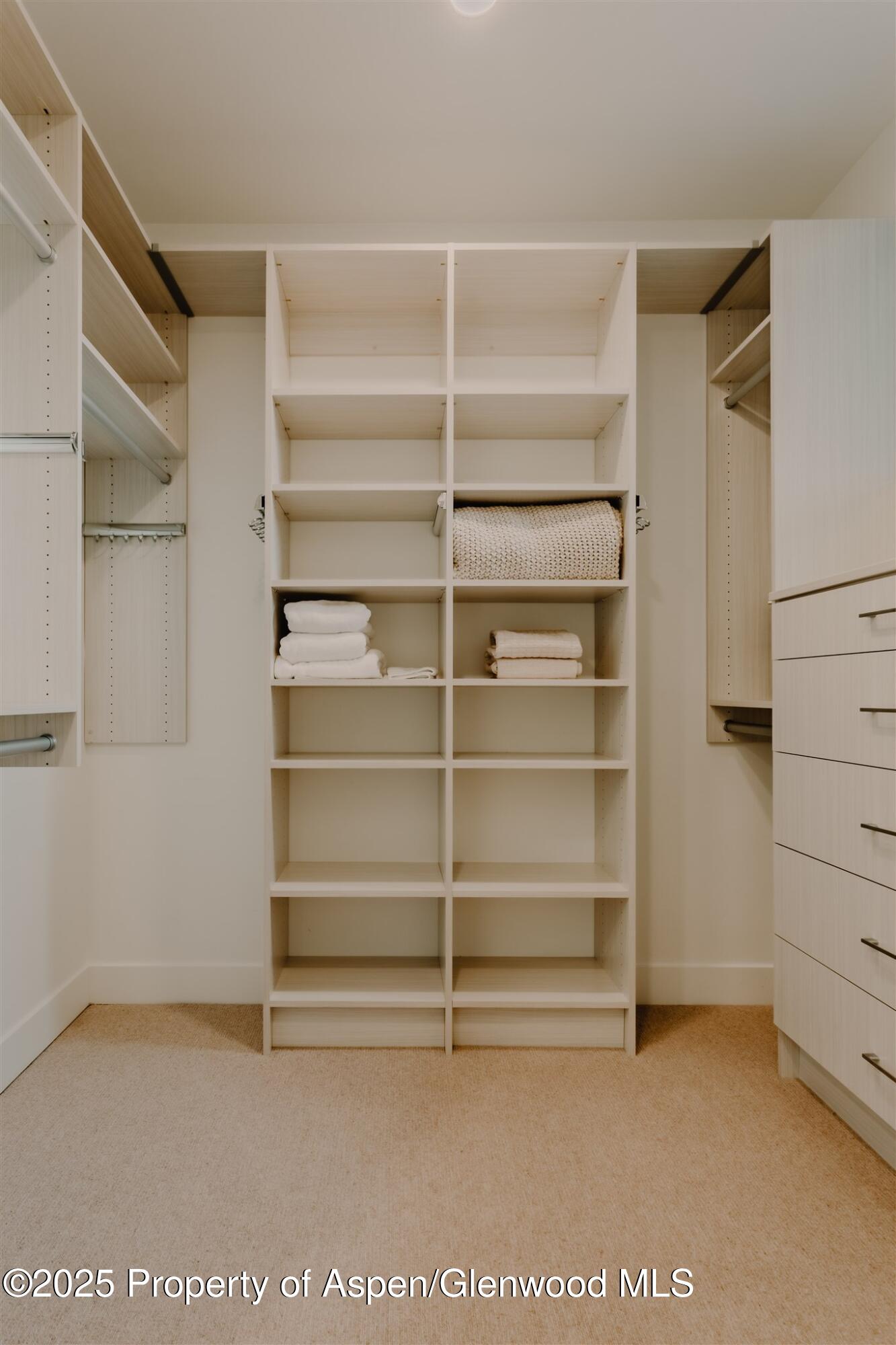 220 E Lewis Lane Basalt CO 81621