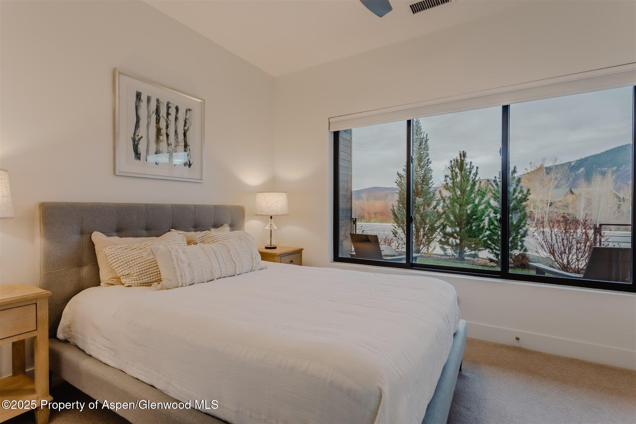 220 E Lewis Lane Basalt CO 81621